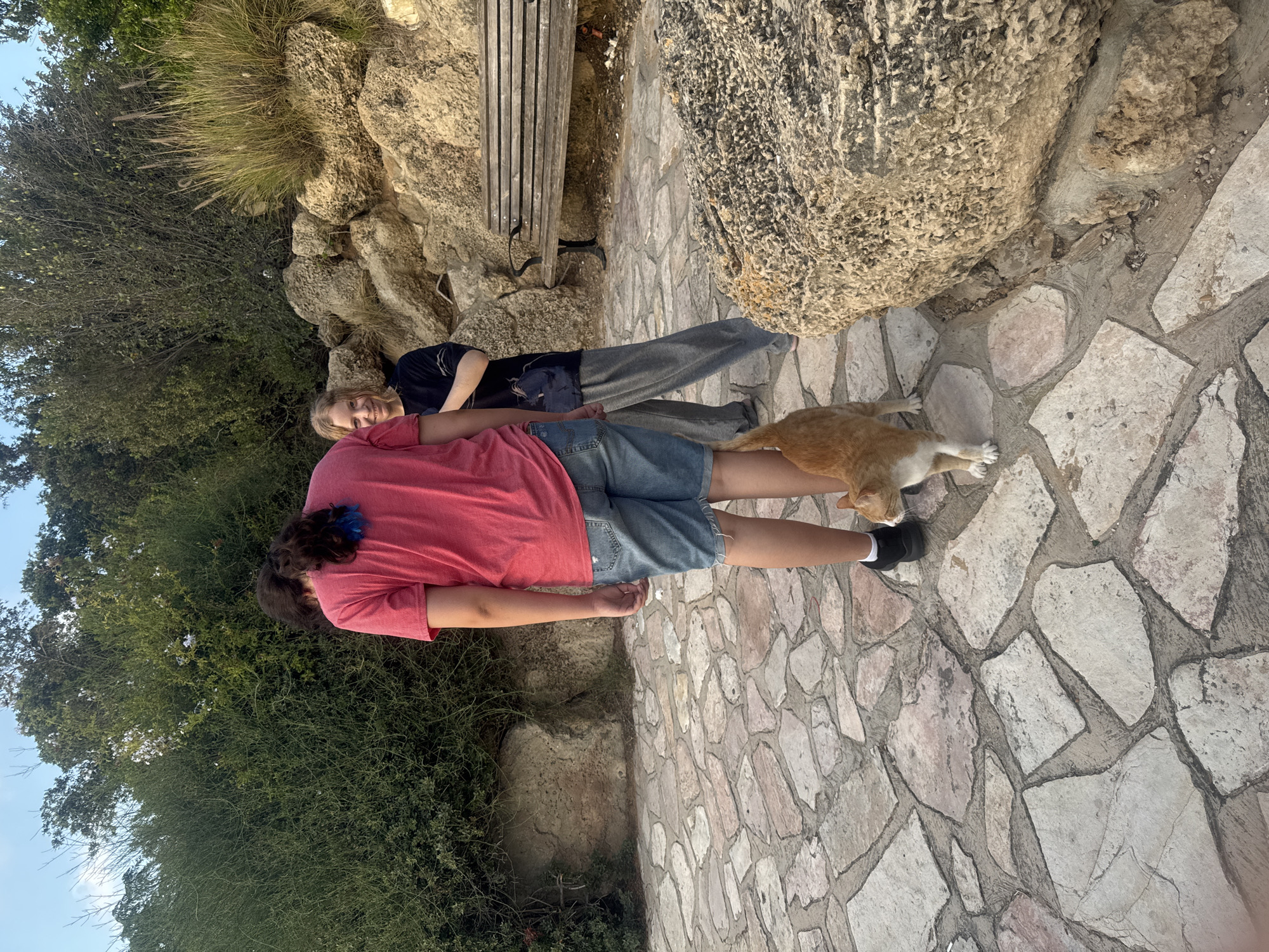 Lazy afternoon at a Ramat Gan park with a cat and open sky