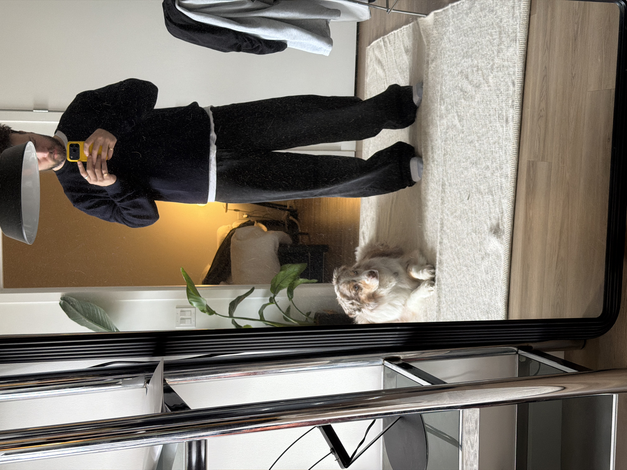 Person takes mirror selfie with dog in Laval home