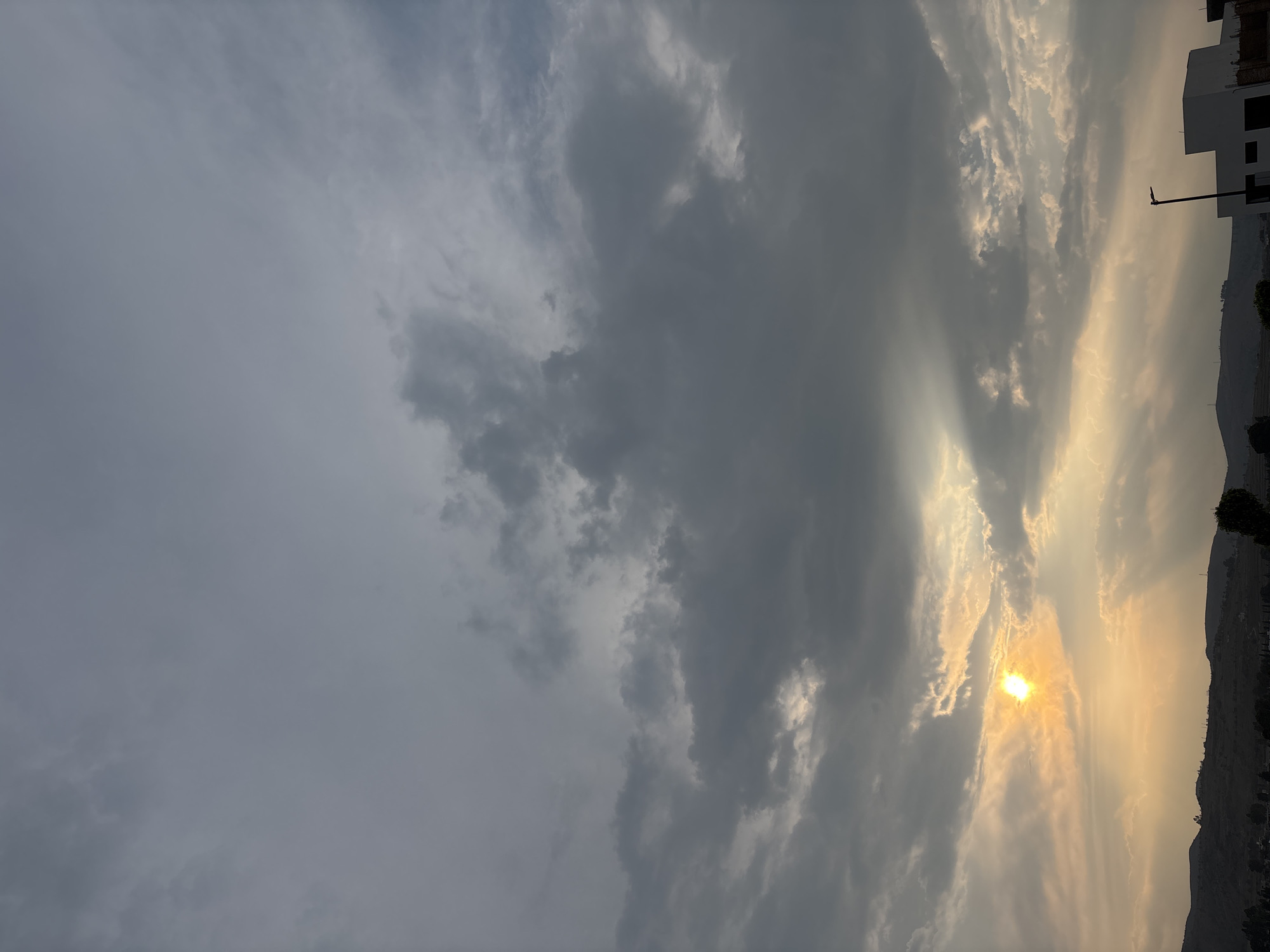 Dawn sky and flowering tree observed in Santa Clara Ocoyucan