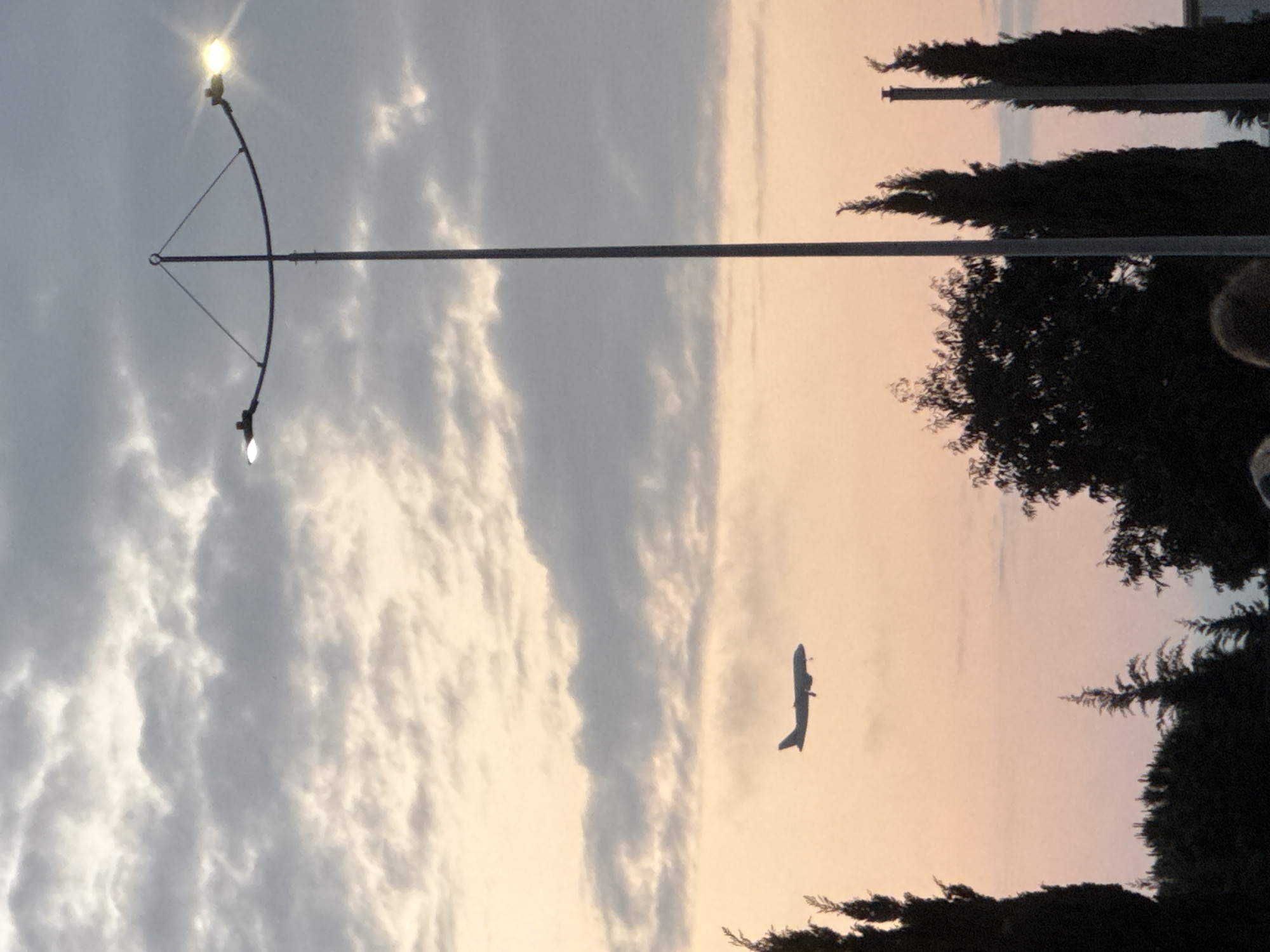 Evening scene captured in Sirius showing ascending airplane at dusk
