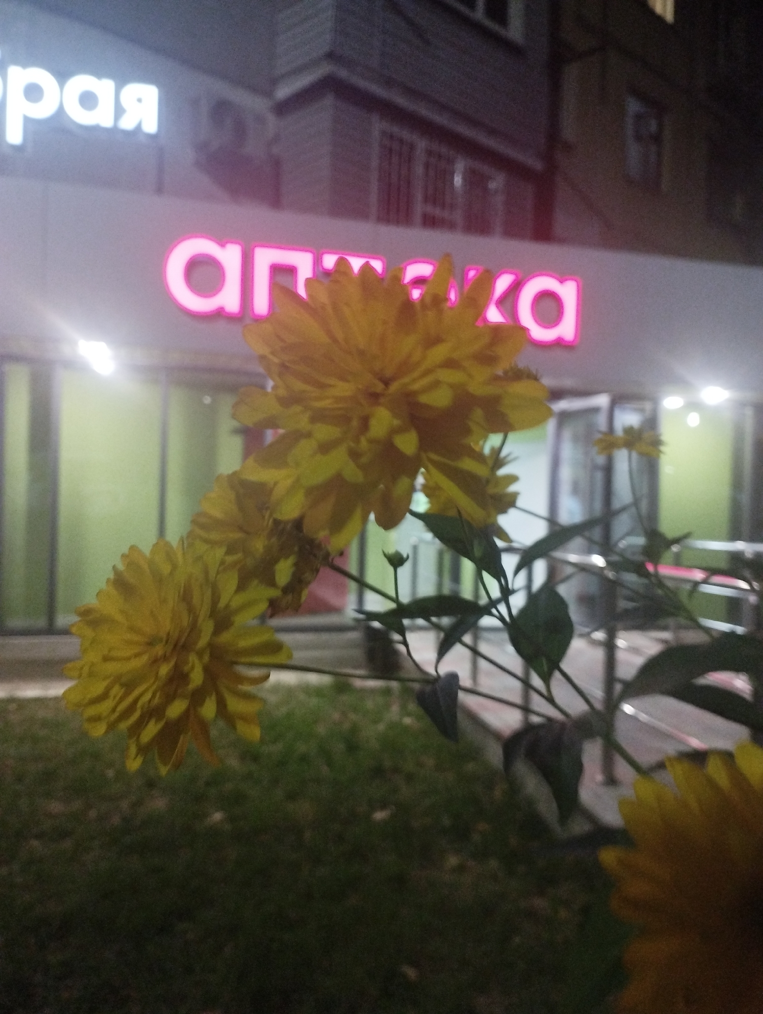Foggy night along an Almaty pedestrian street in summer