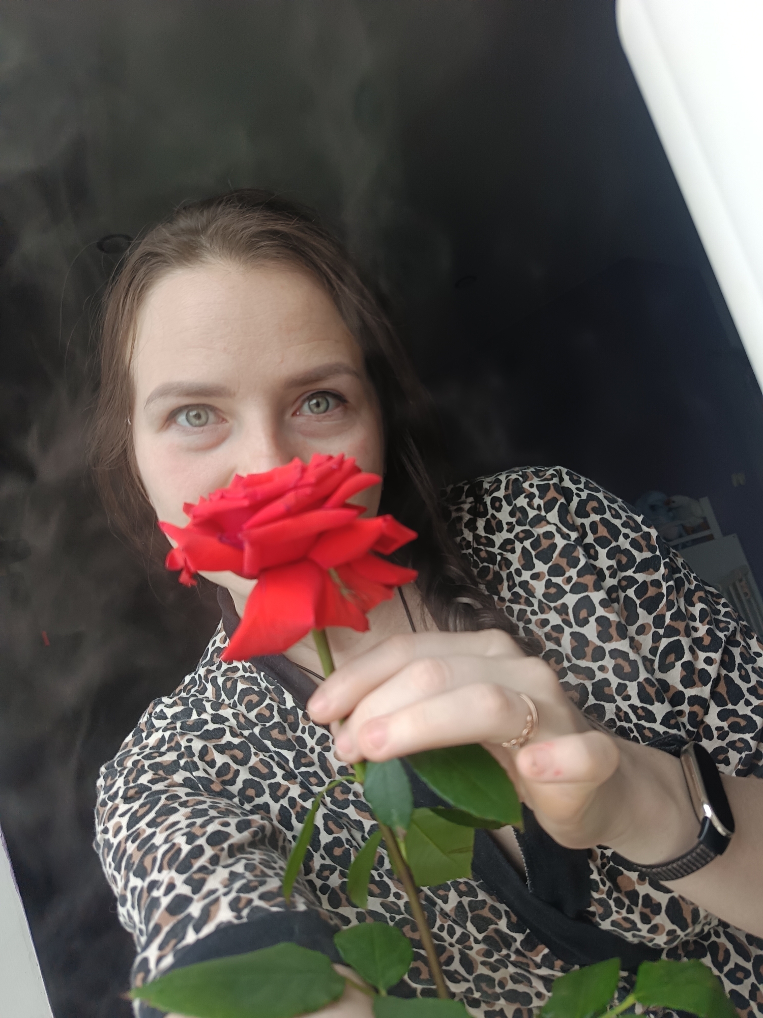 Morning life captured in Rusalevka: residents, dogs, everyday moments