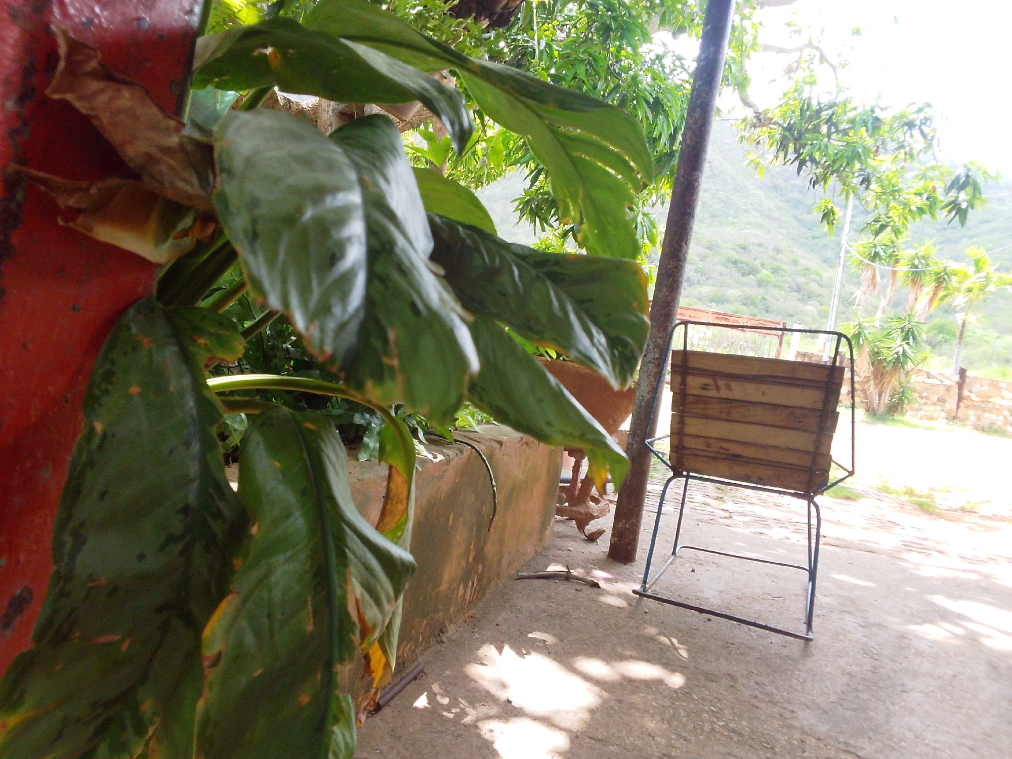 Afternoon light through a weathered hillside home in Guayacán