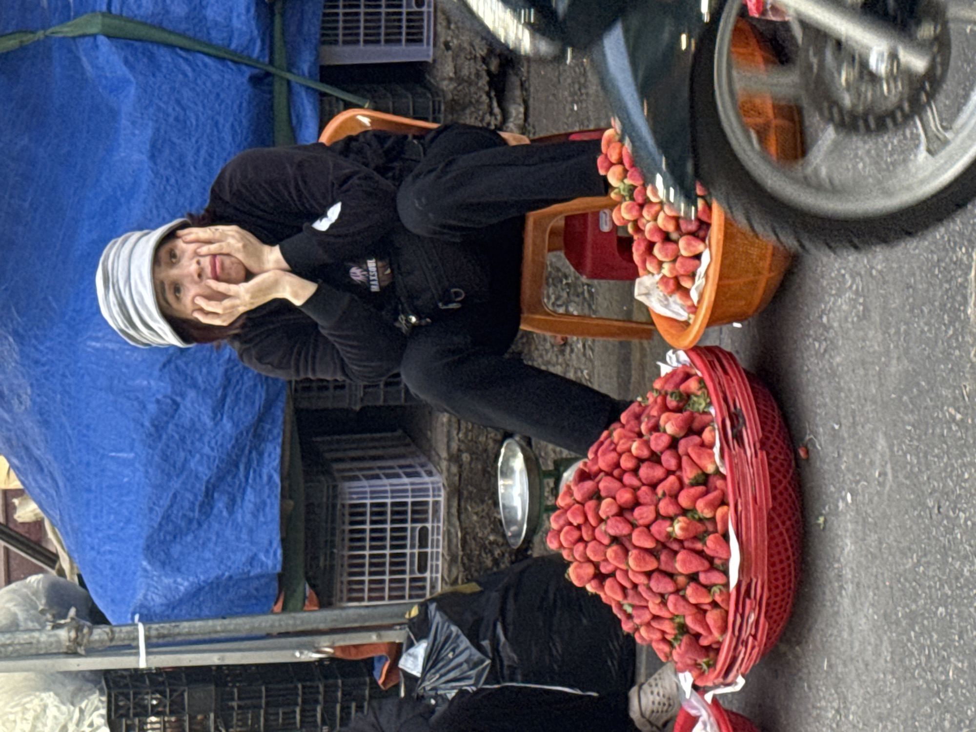 Morning market life documented across Da Lat Vietnam