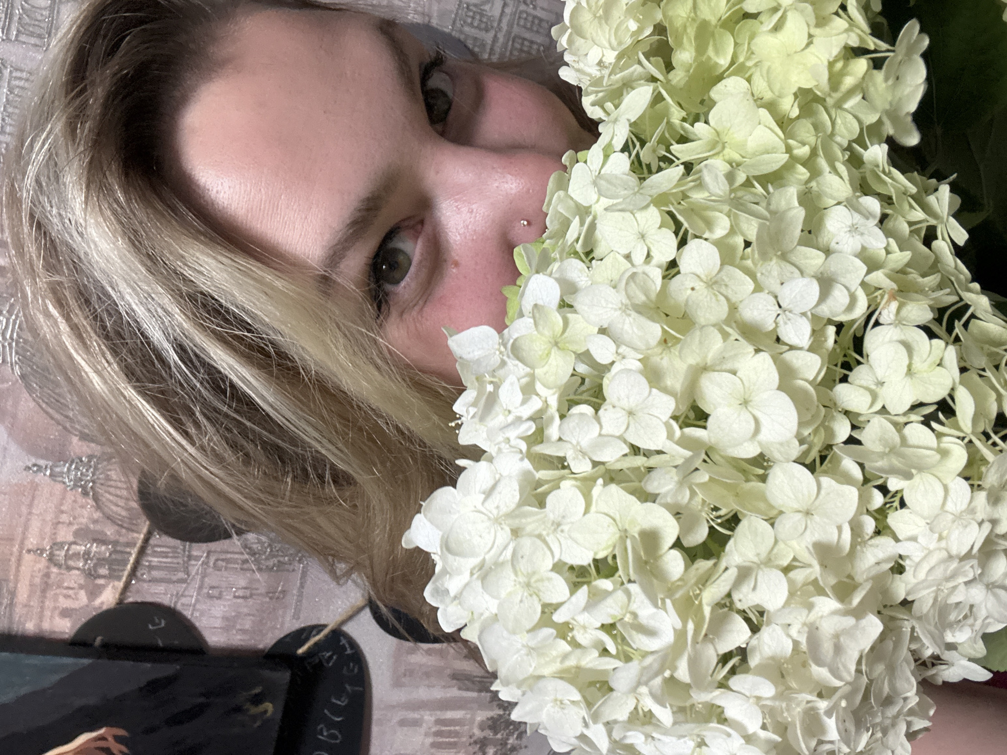 Hydrangea bouquet photos and a cat, Марковский evening