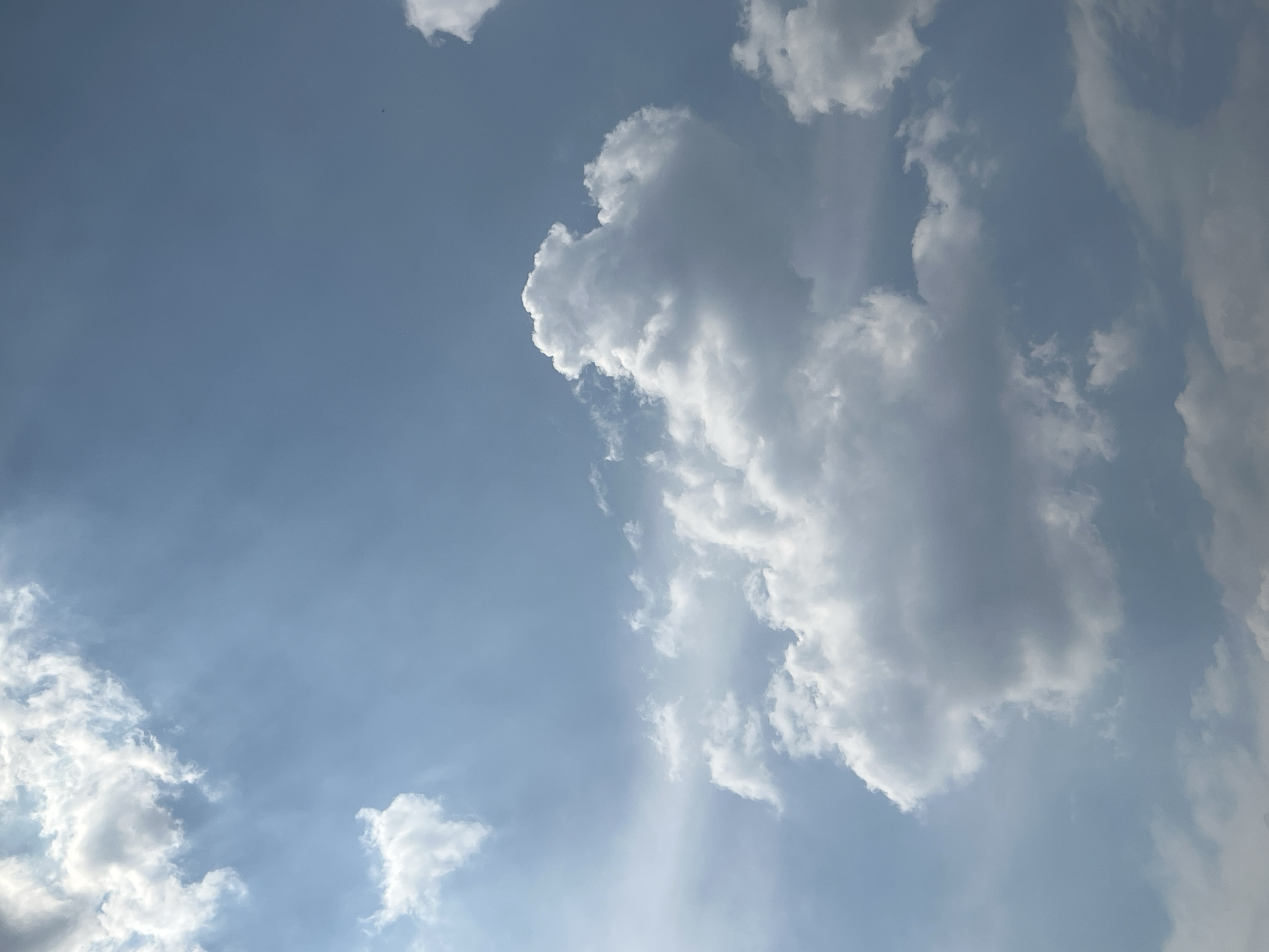 Mixed cloud formations observed over Mexico City skies