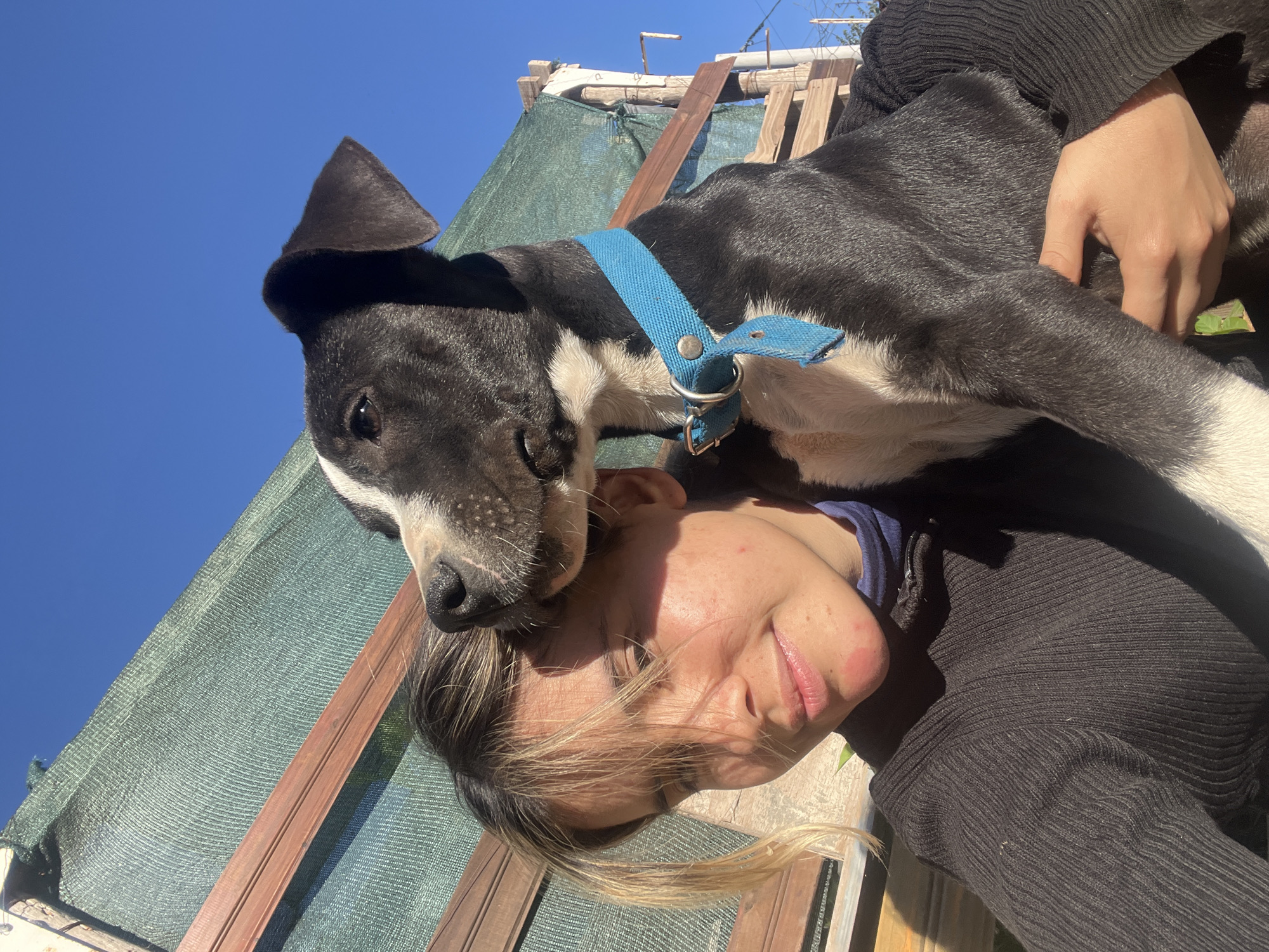 Person and dog share affectionate moment in Sumalao, Argentina