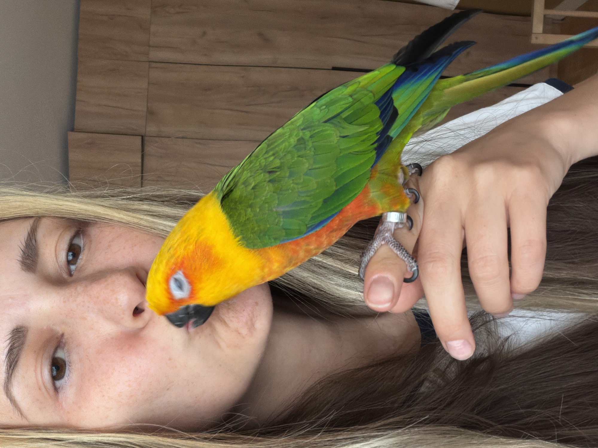 Morning in Khimki with a sun conure parrot