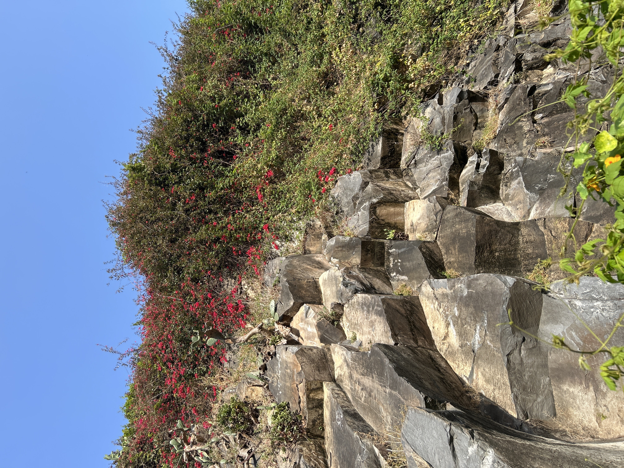 Evening walk documented through Câmara de Lobos, Portugal landmarks
