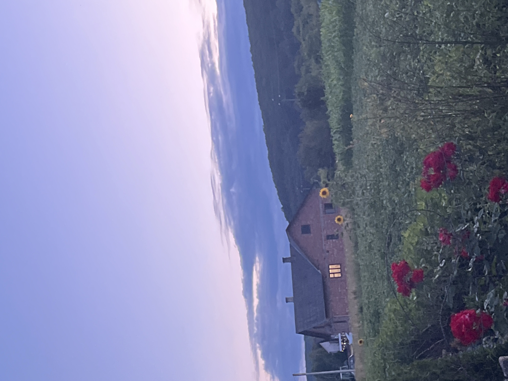 Quiet rural countryside: forests, water, dirt roads, and a dirt bike