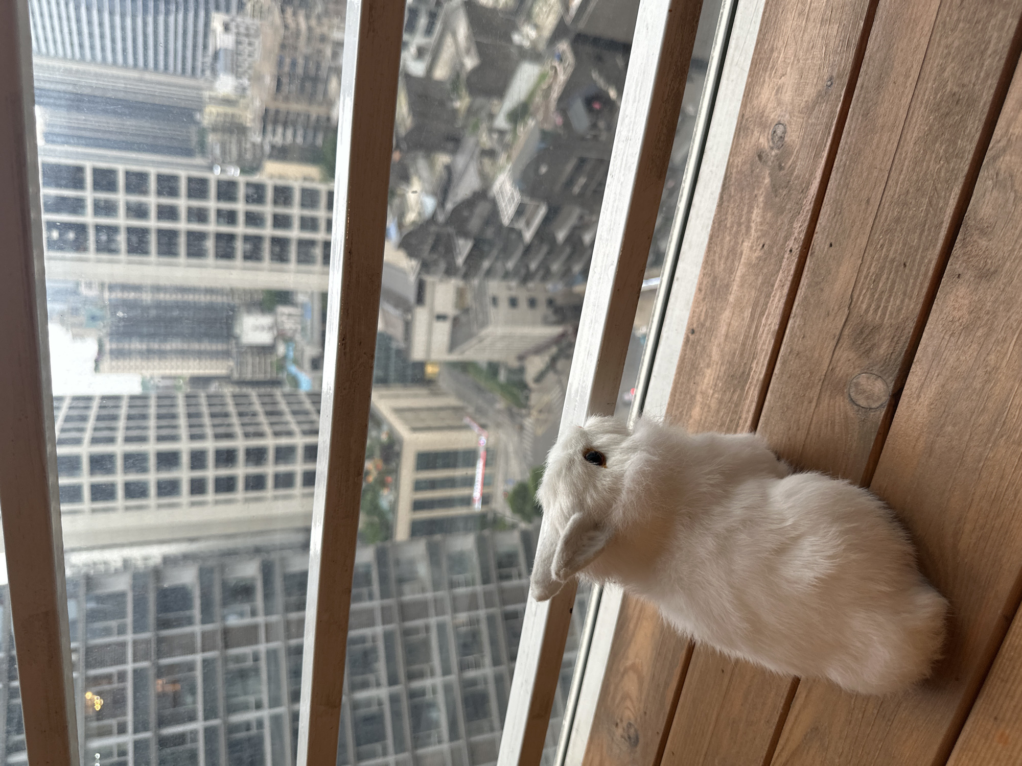 Interior scenes with city views documented in Yuzhong District