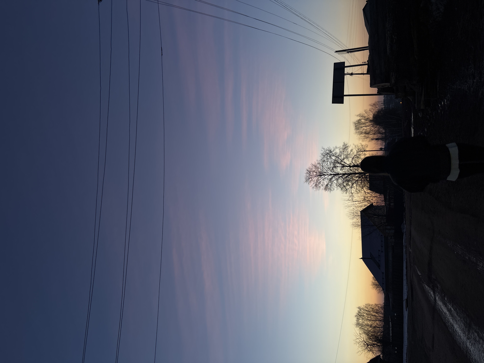 Quiet afternoon moments in Russian village with cats