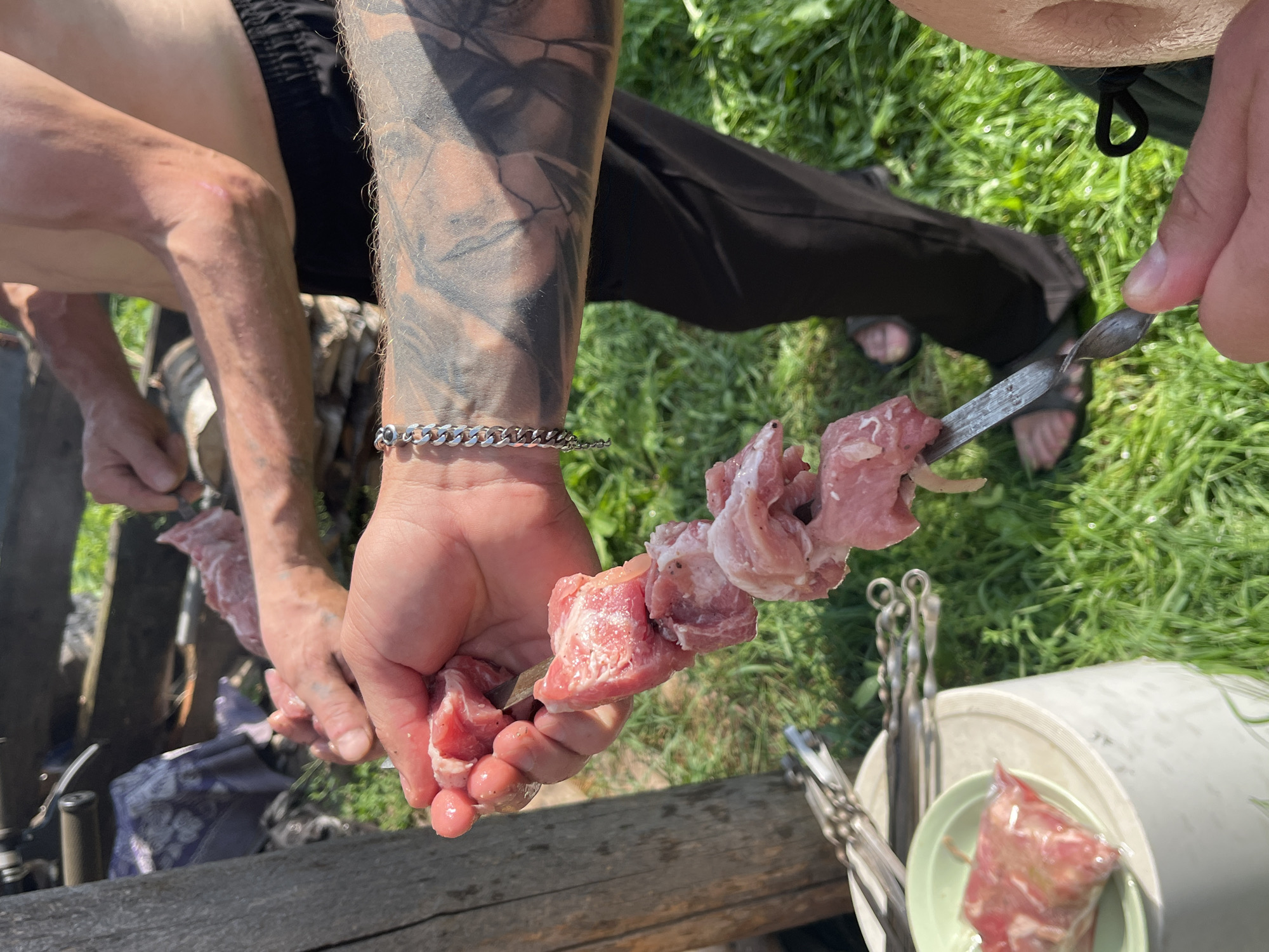 Backyard shashlik prep in Chaikovsky, with dogs and beetles nearby