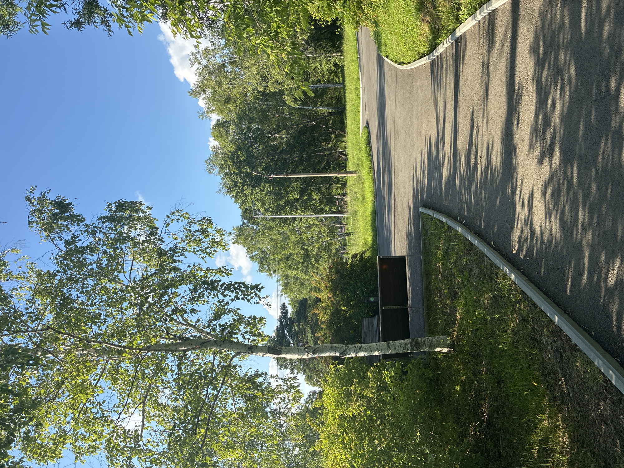 Sunny morning at a park in Gornye Kljuchi, Russia