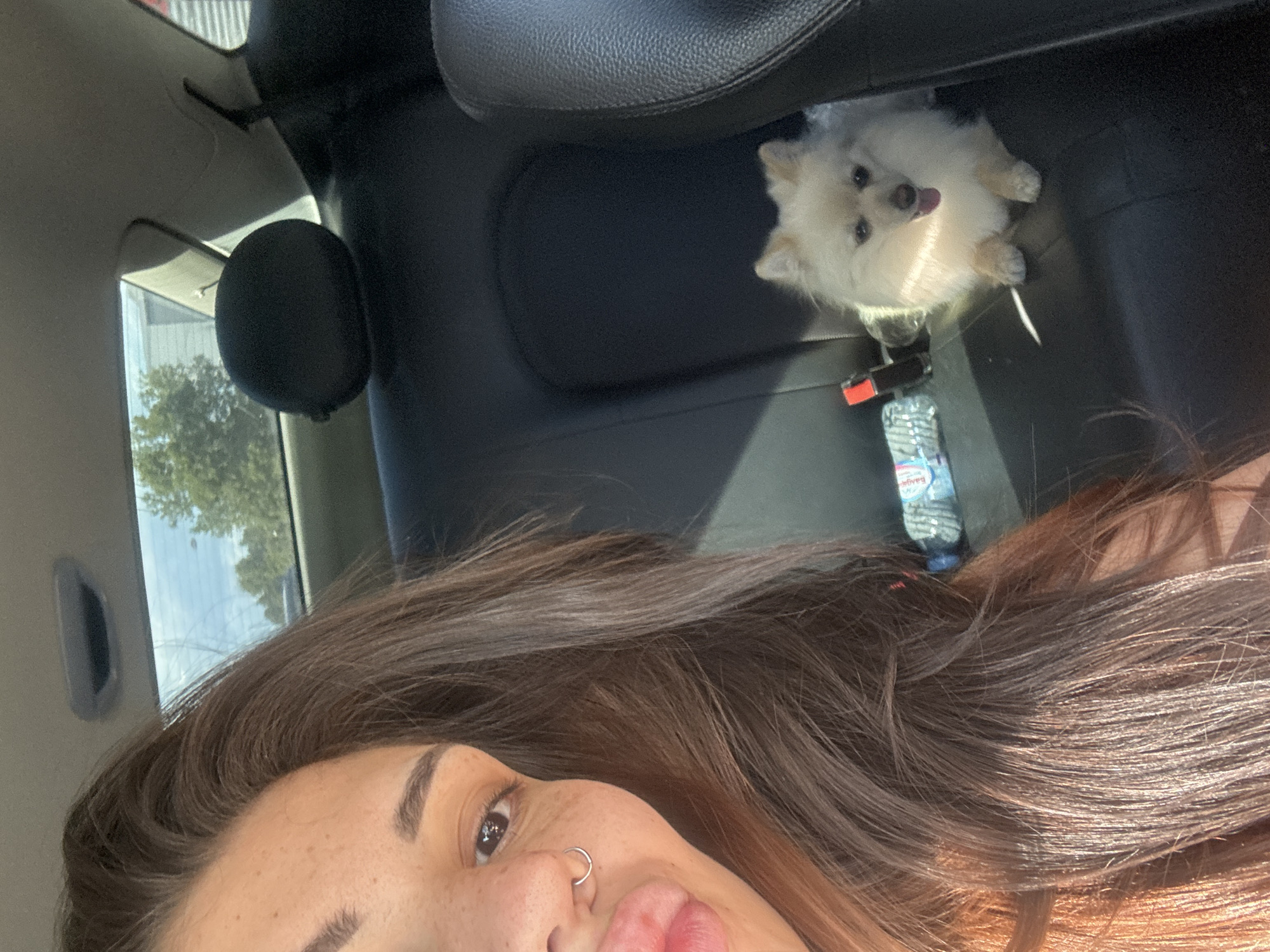 Woman photographed making playful faces in car in Sofia