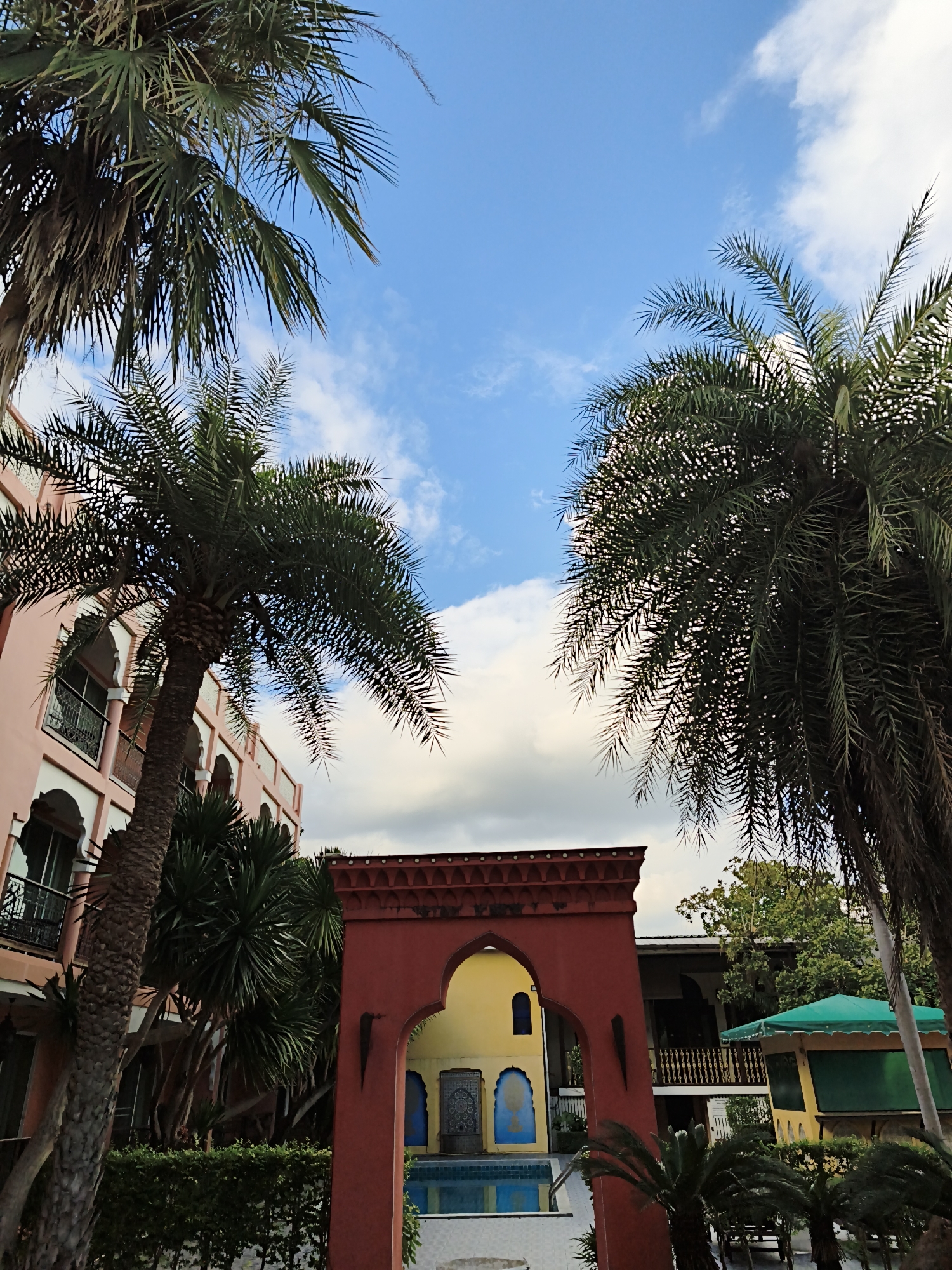 Cafe morning with food, plants, and street finds