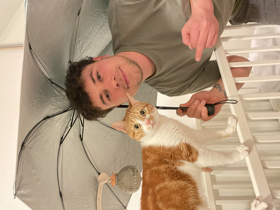 Cat photography session with props captured in Bar, Montenegro