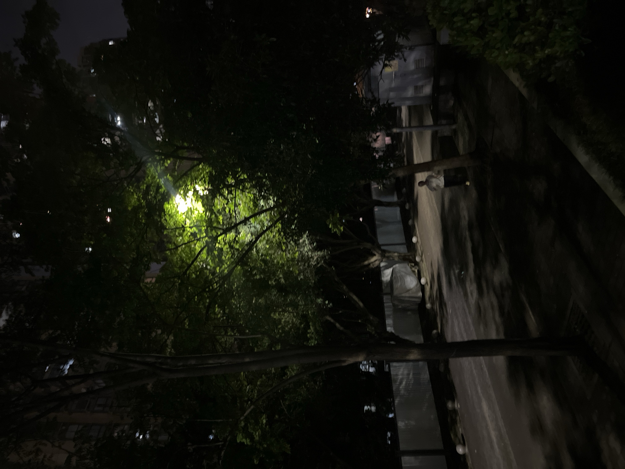 Nighttime urban life documented in Jiulongpo District, China