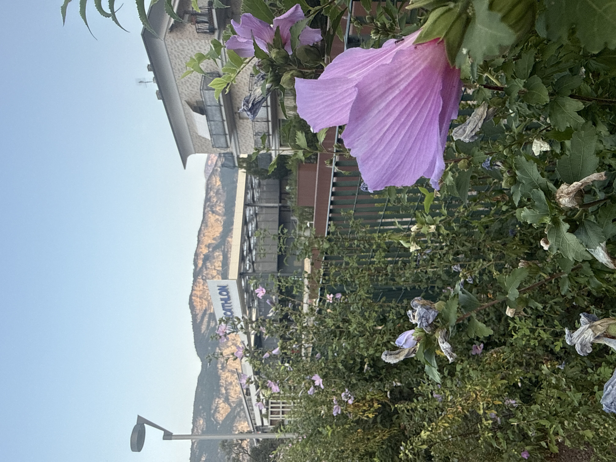 Street-level summer scenes from Trento, Italy, mountains in view
