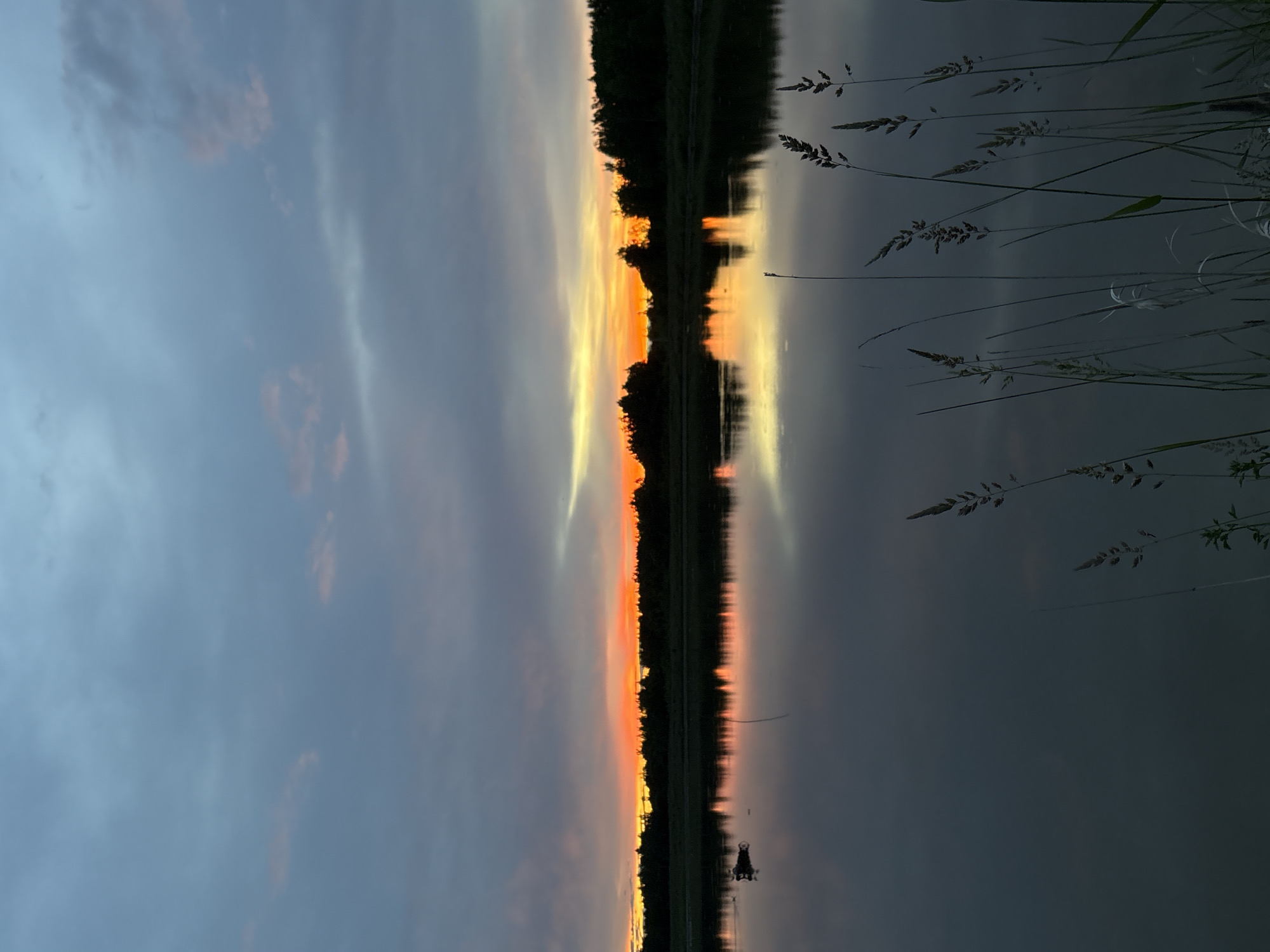 Sunset over water and grass in Pankovka, Russia