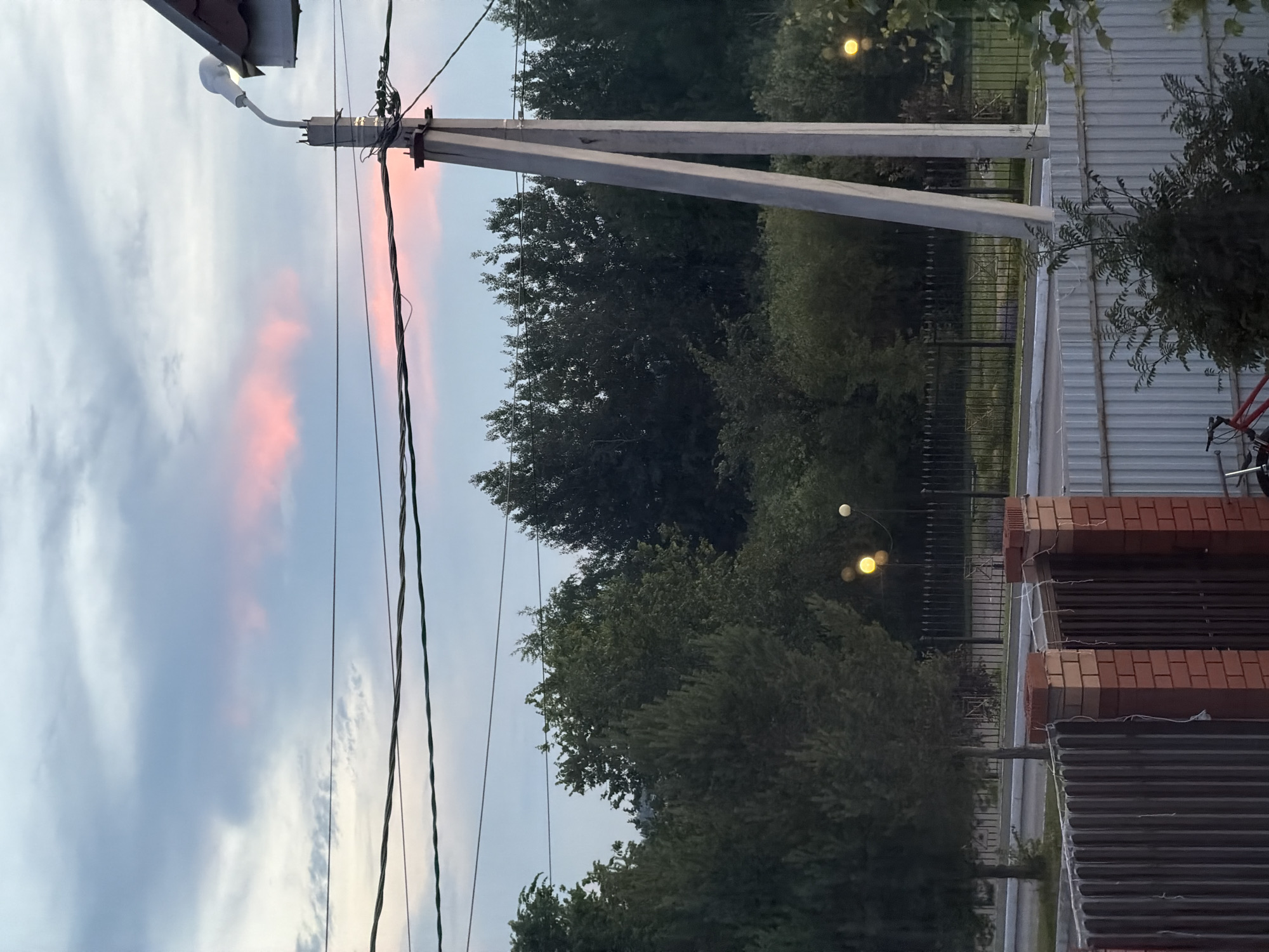 Twilight scenes and cat moments in Шмидтово, Russia
