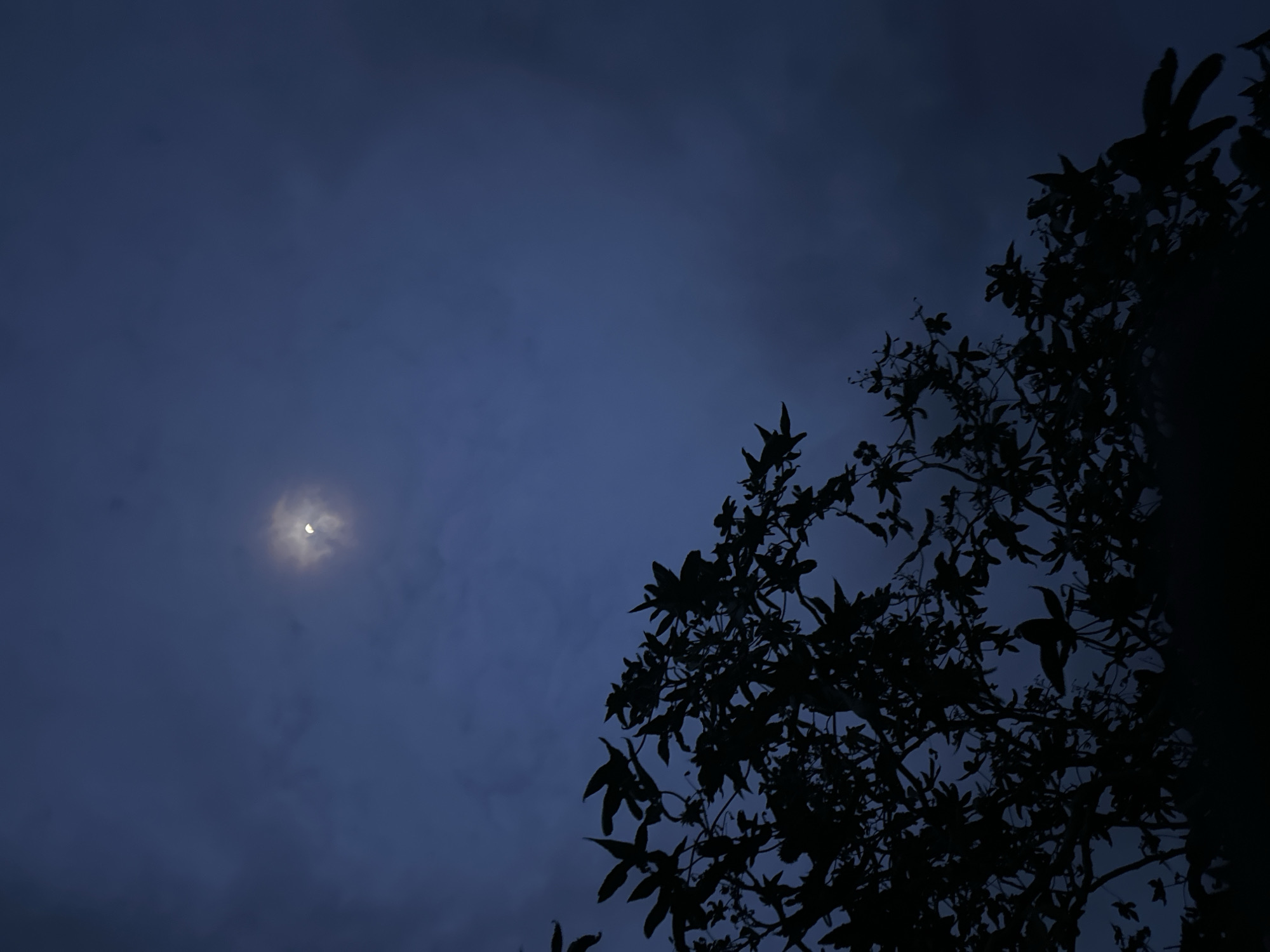 Quiet twilight moments captured beneath crescent moon in Bar Gada
