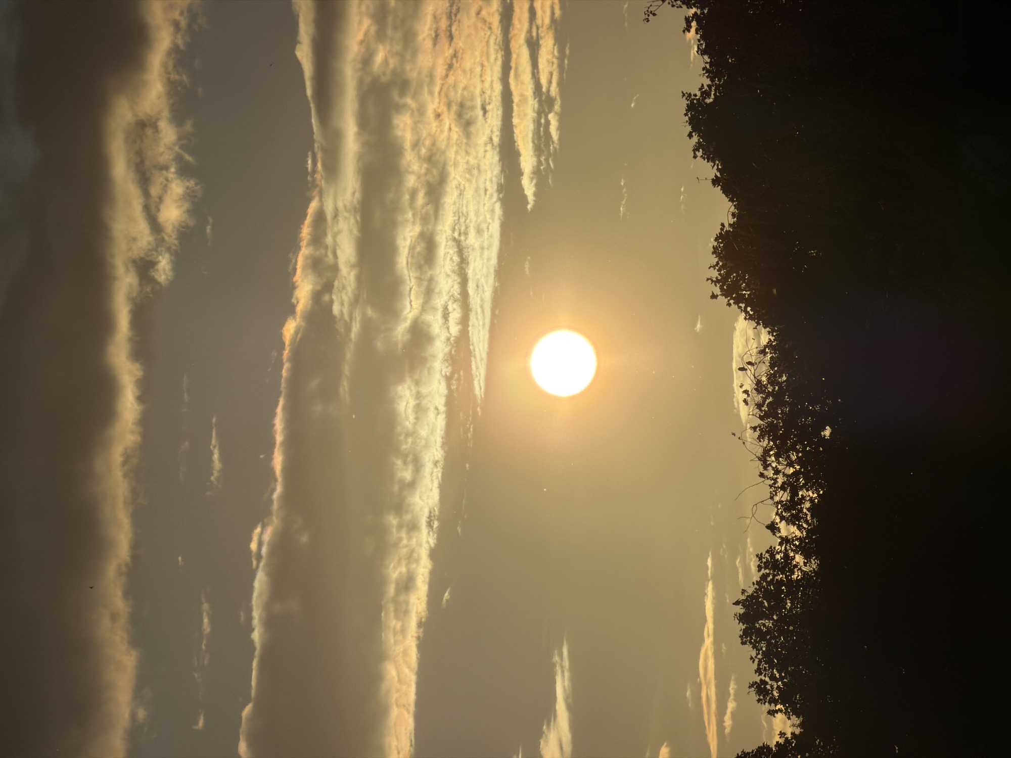 Evening sunset documented over Esch-sur-Alzette, Luxembourg with local wildlife