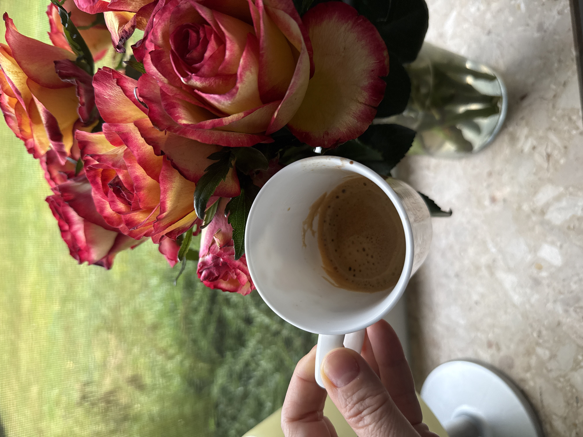 French bulldog and morning coffee, Bad Sachsa bedroom