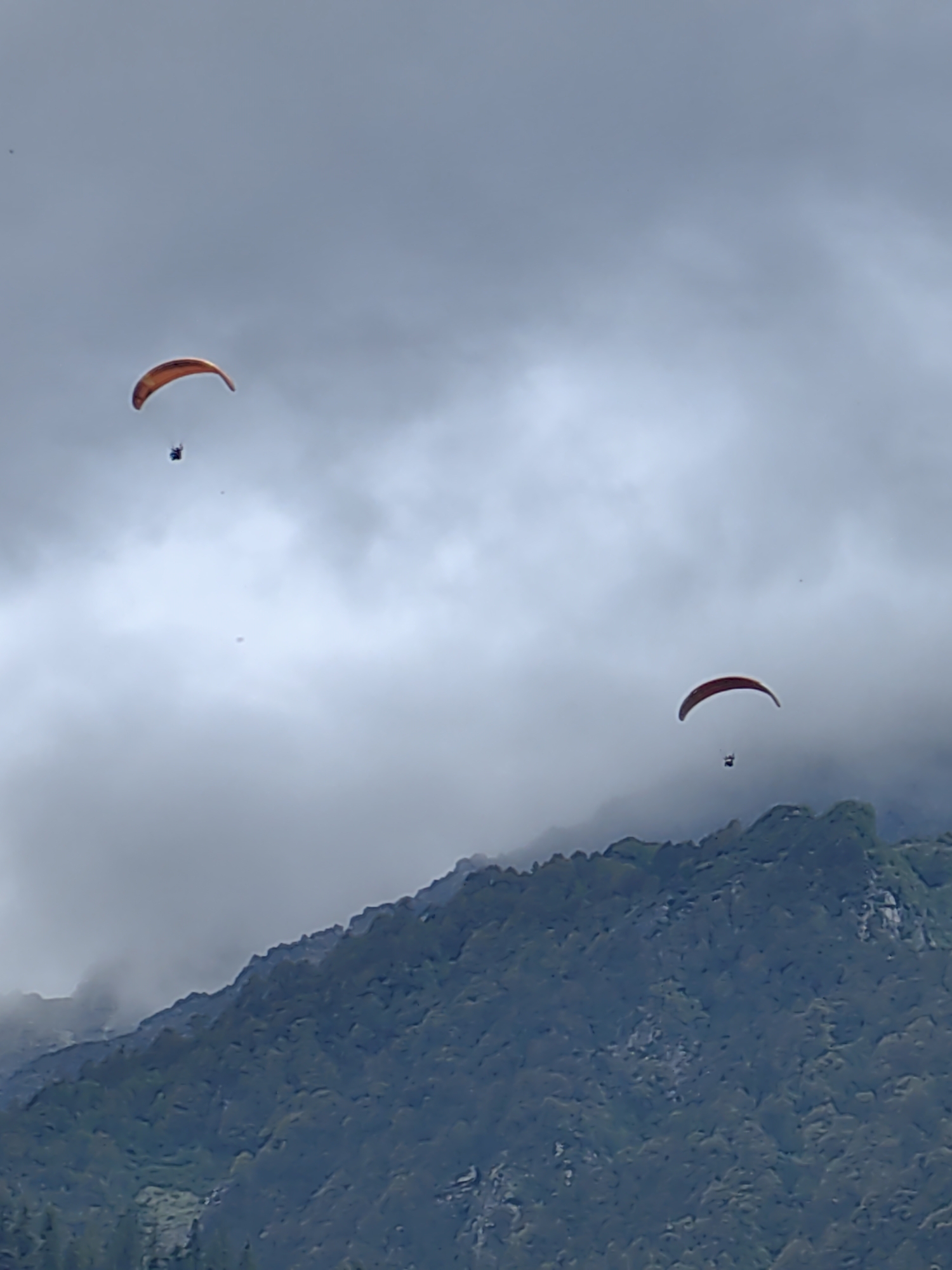 Paragliders over Solang Valley's forested mountain slopes