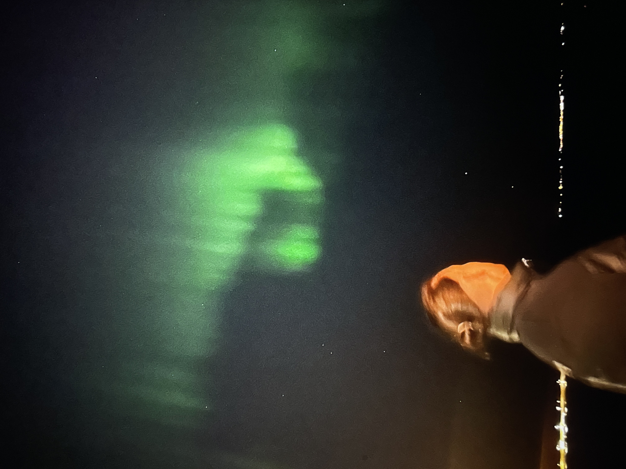 Aurora viewer captured observing green northern lights display