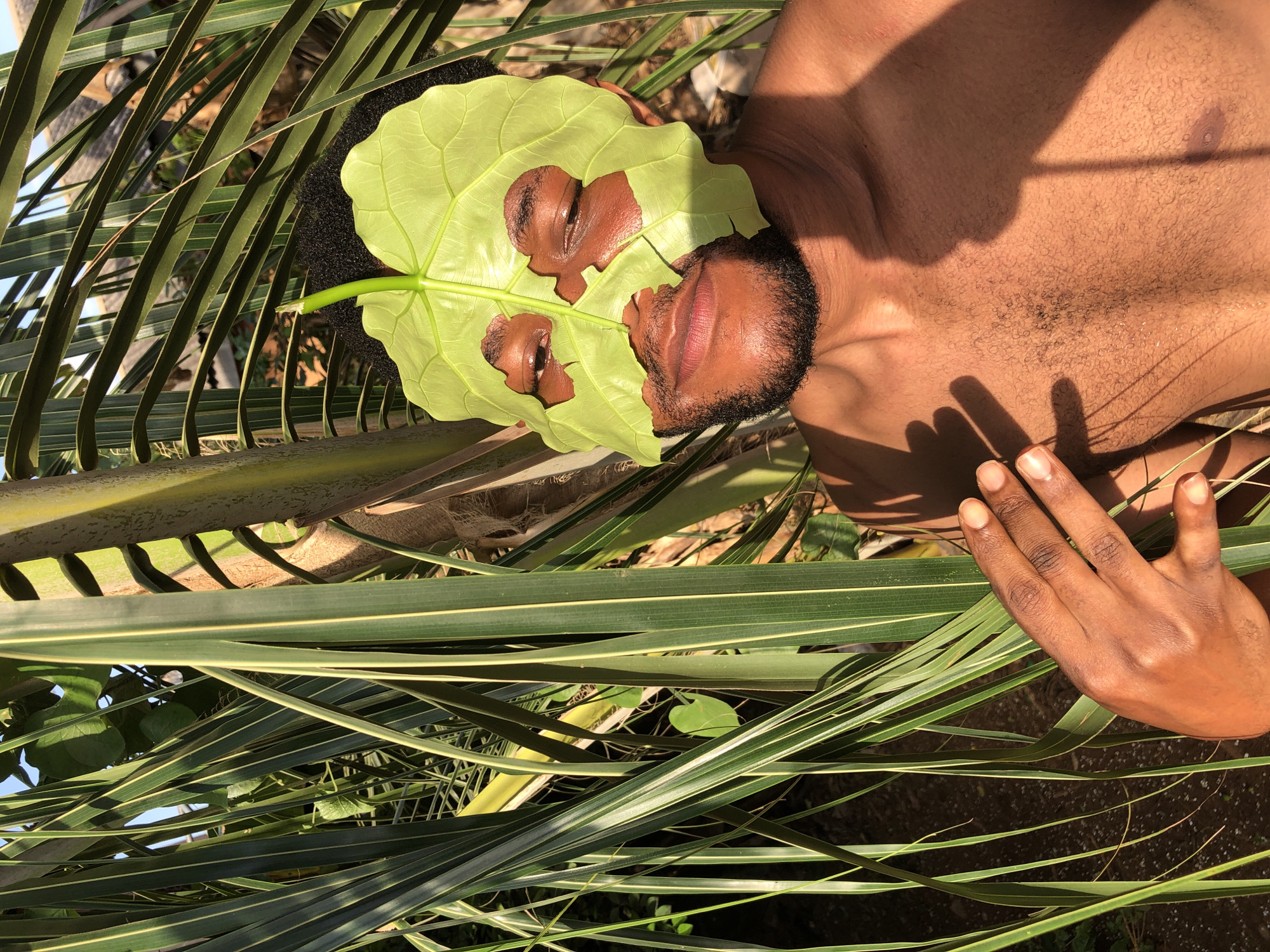 Outdoor leaf mask play captured by witnesses