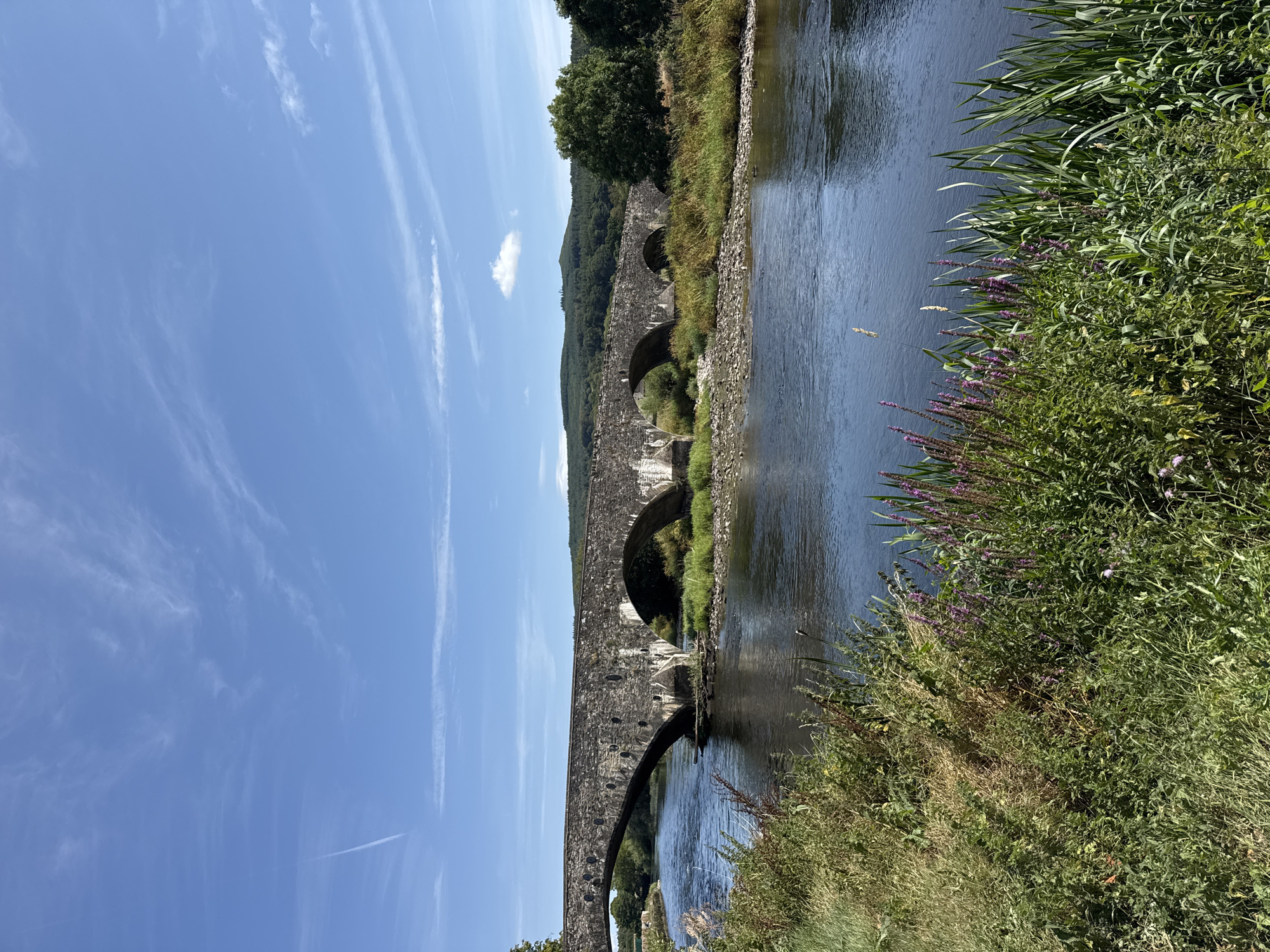 An afternoon along a historic riverside greenway in Tipperary
