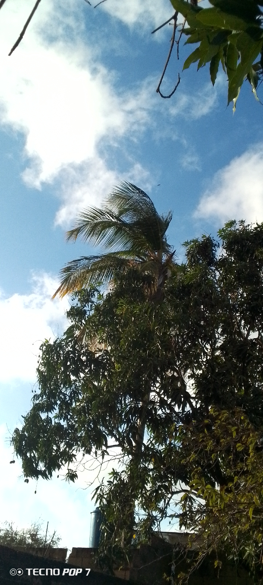 Evening documentation of daily life in Altagracia, Venezuela neighborhood