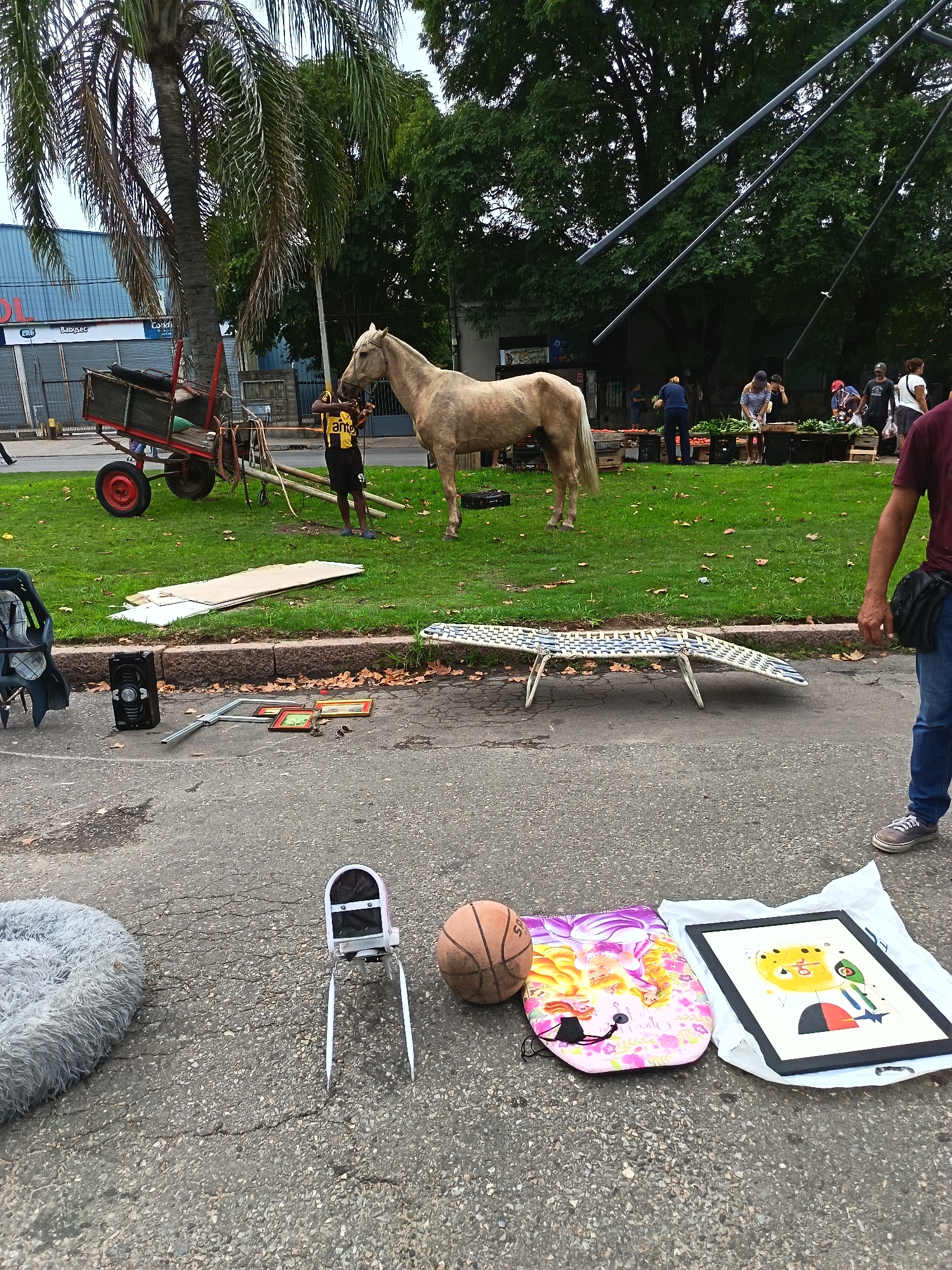 Personal items scattered on Montevideo street