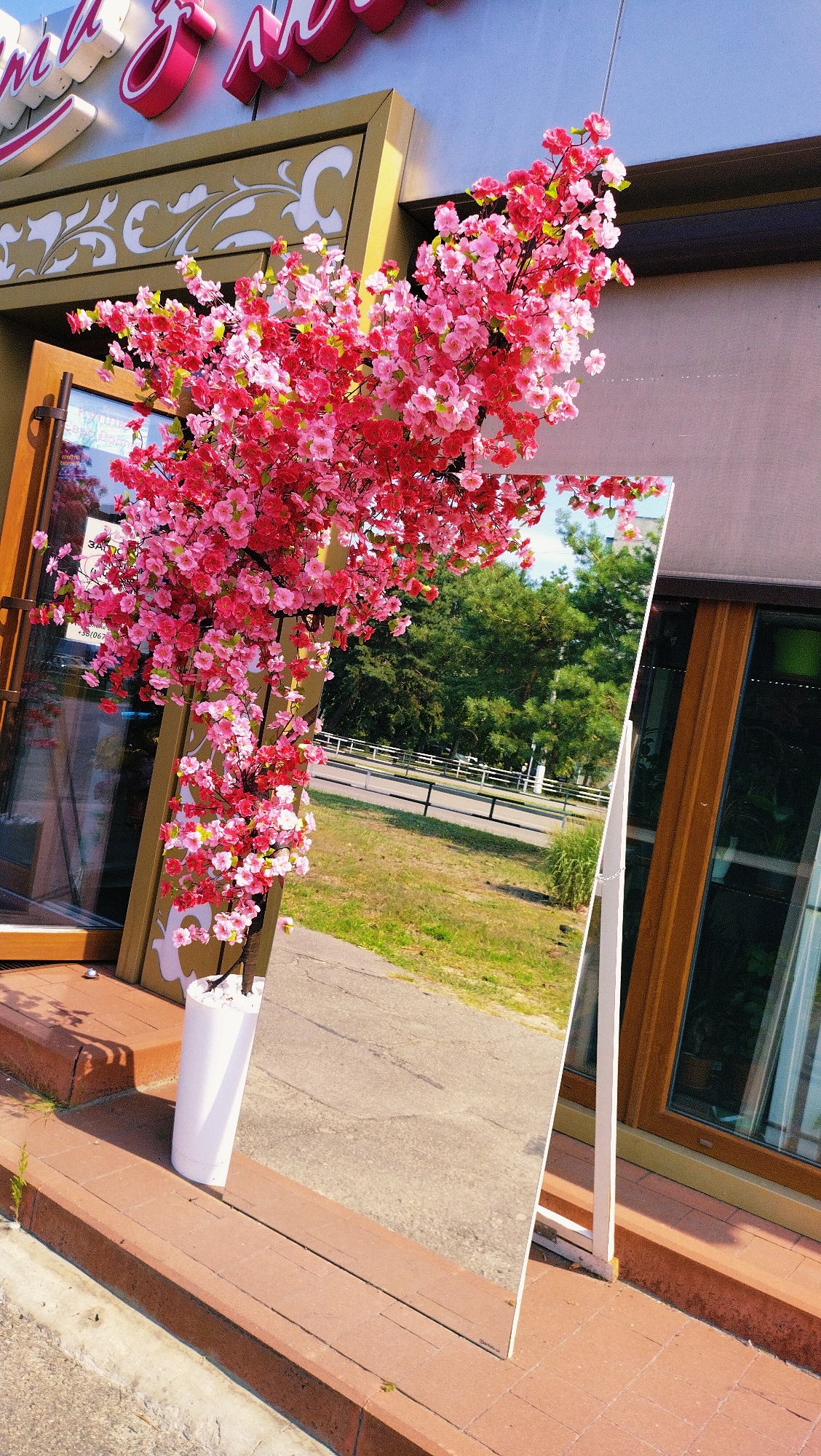 Summer morning around a cherry blossom display in Horishni Plavni