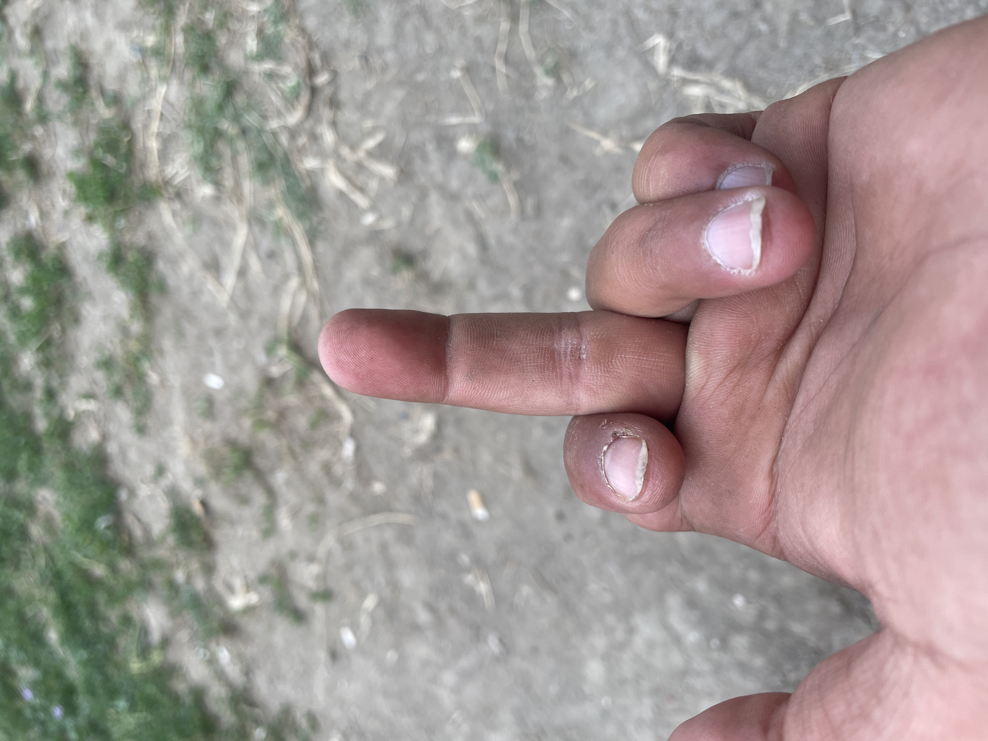 Casual afternoon — dogs, beers, Man United keychain, and rude gestures