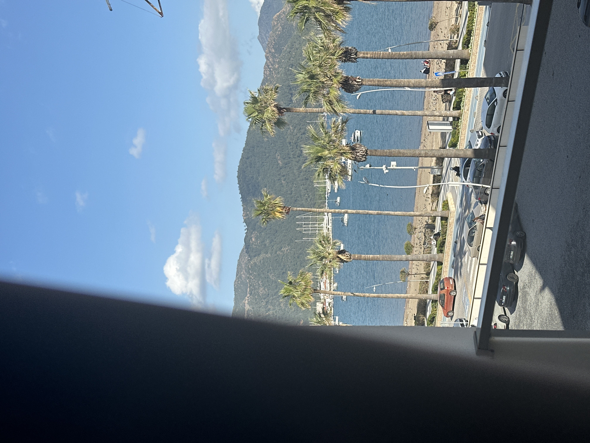 Elevated view captured of Marmaris coastline with palm trees