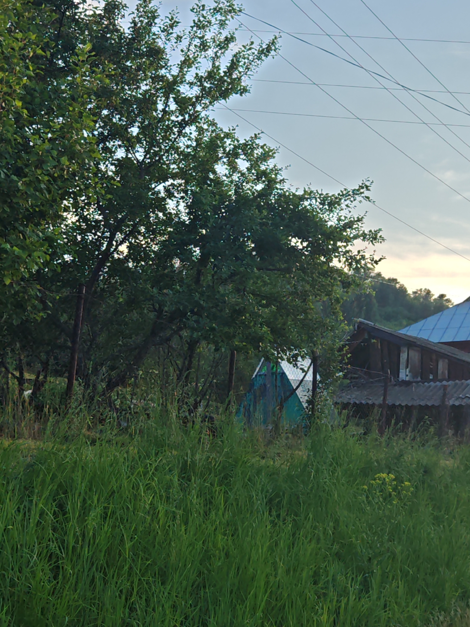 Rural life documented in Altayskoye village, Russia over afternoon