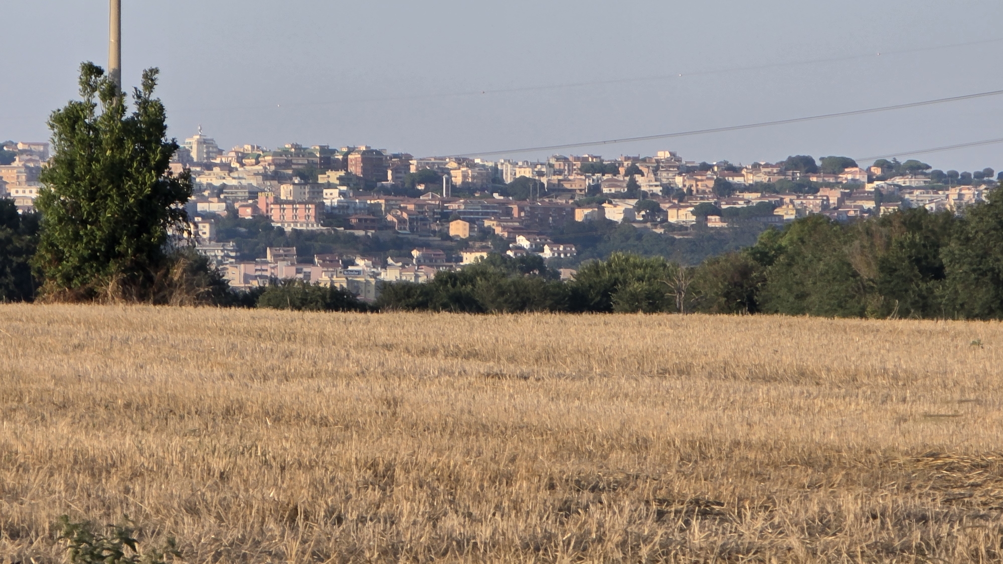 Golden wheat fields frame Tarquinia's sun-bleached hilltop skyline