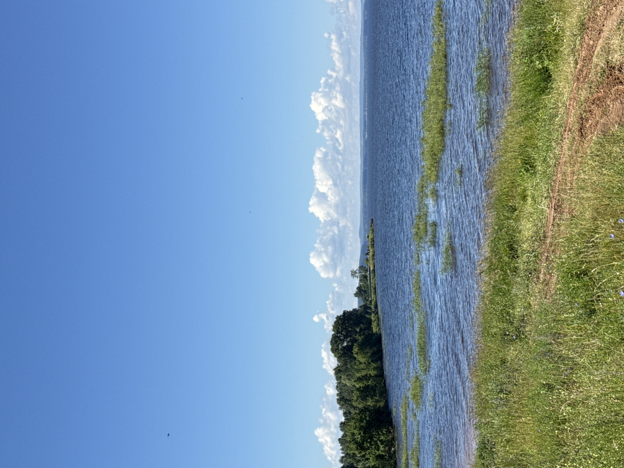 Sunny lakeside stop in Kryukovo with striking two-tone water