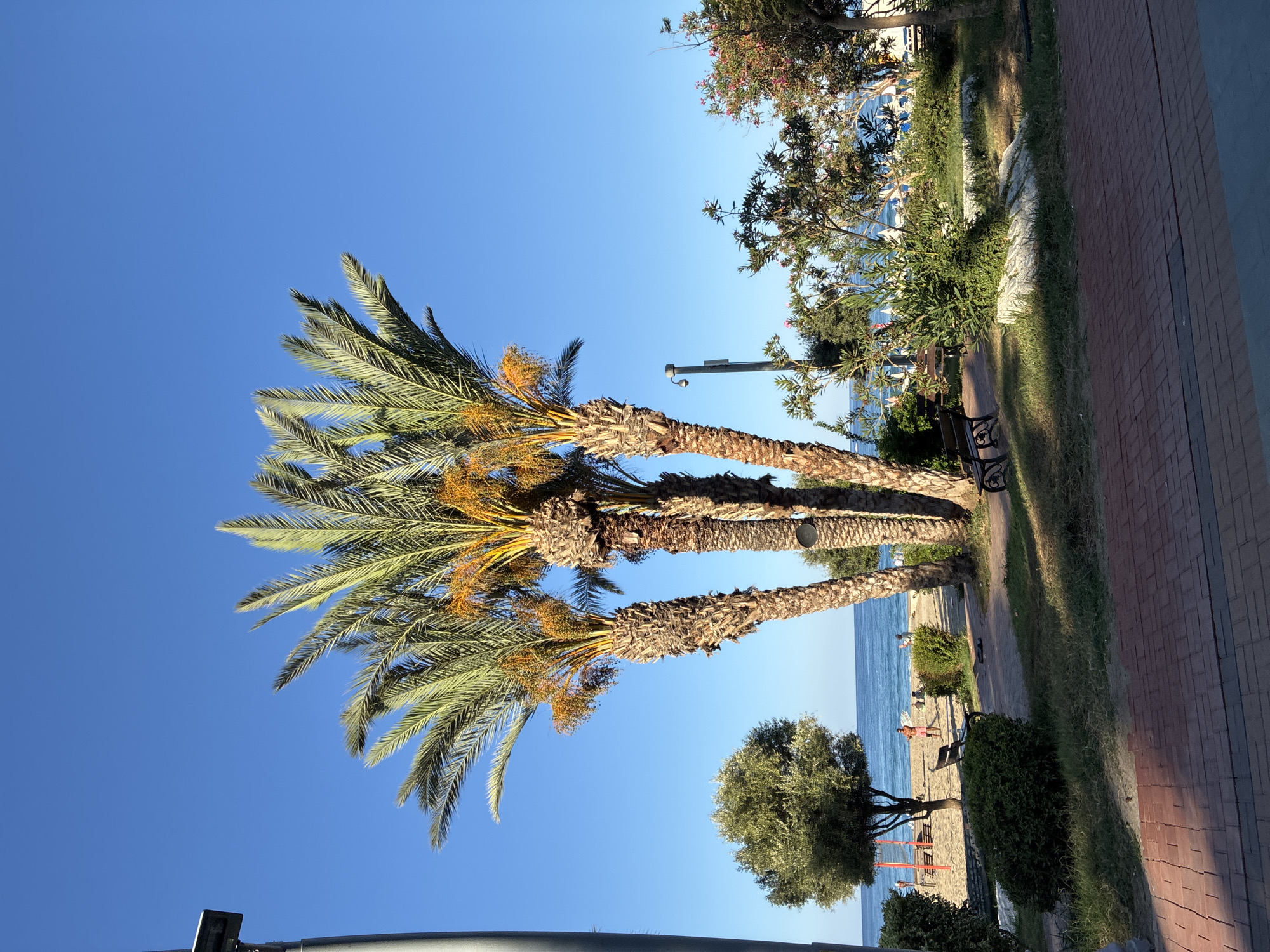 Sunny morning snapshots across Alanya's streets and shoreline