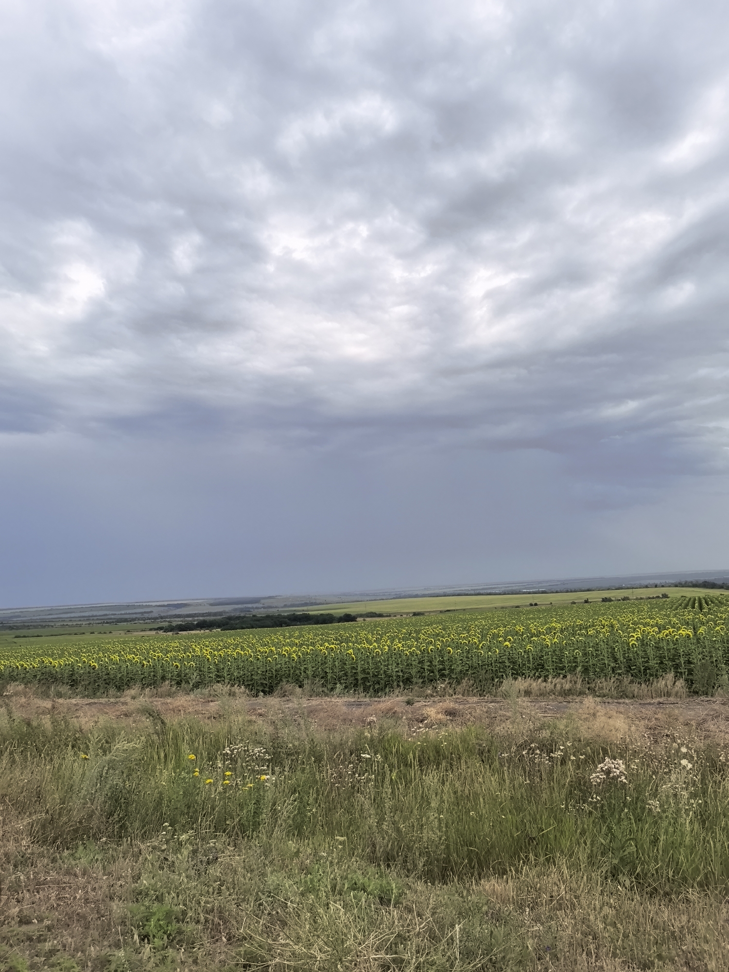 Kruzhilinskii, Russia