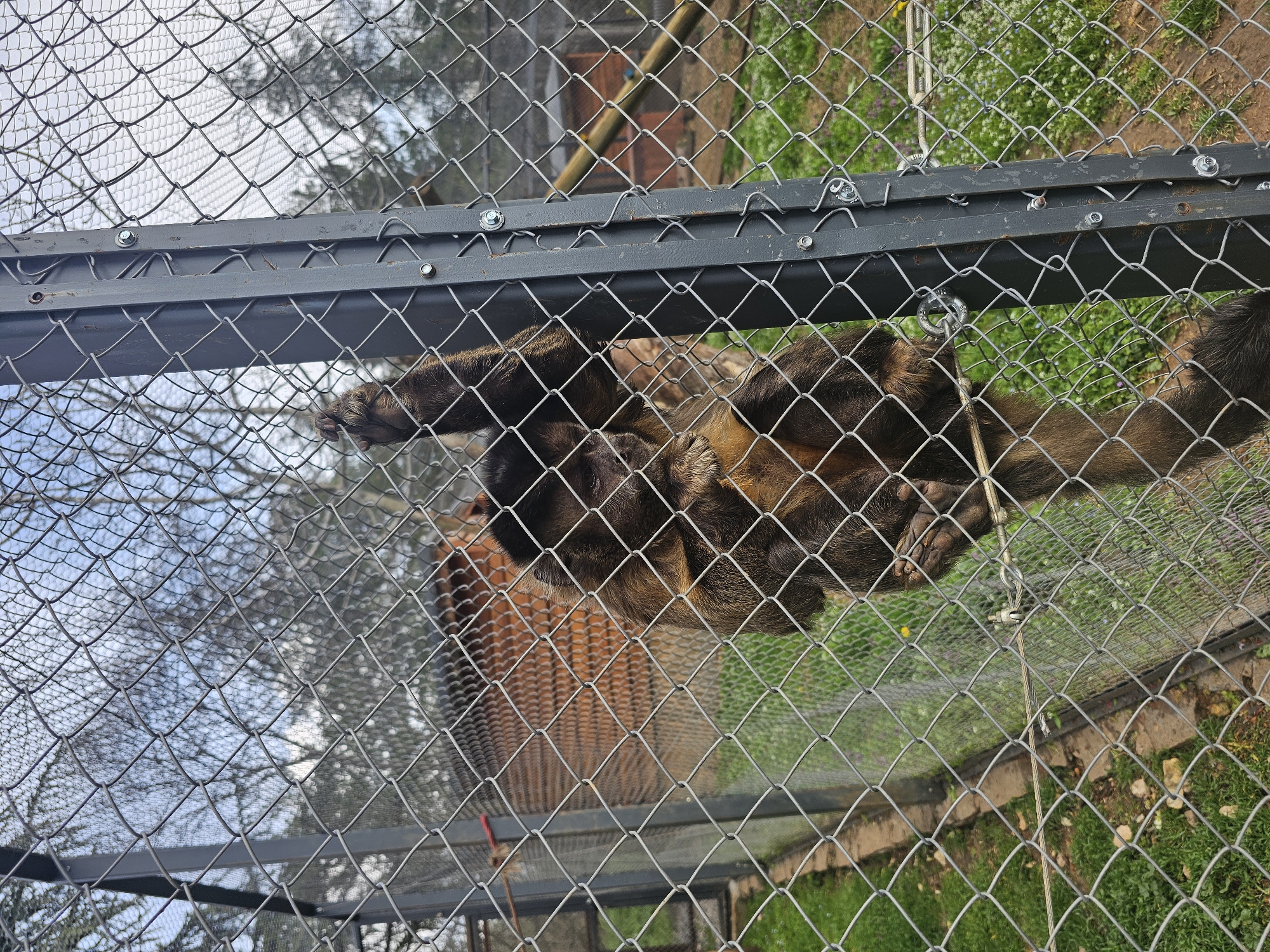 Zoo animals observed at Stara Zagora facility in Bulgaria