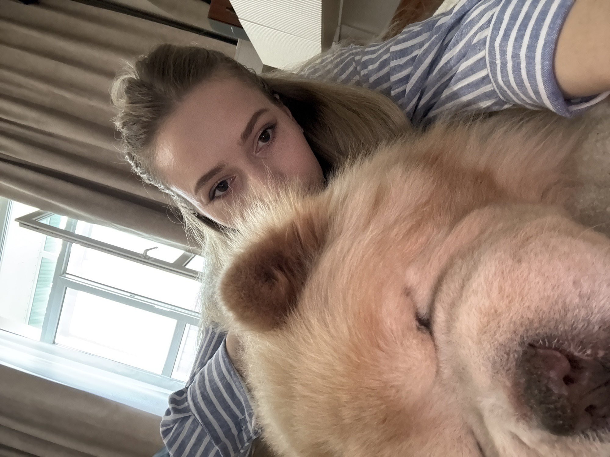 Person rests with sleeping Chow Chow in Moscow apartment