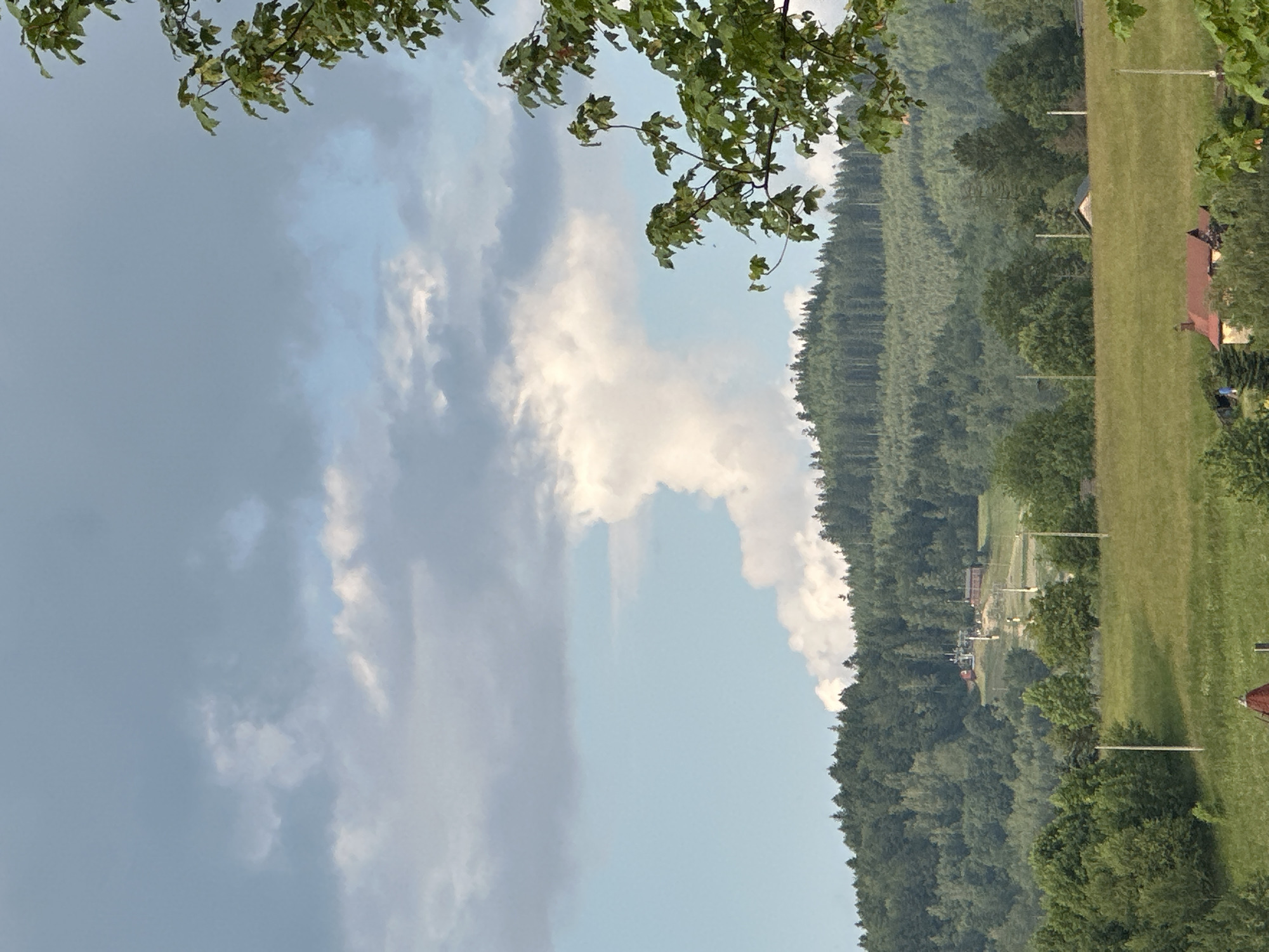 Toddler takes the wheel in Wisła's forested hills