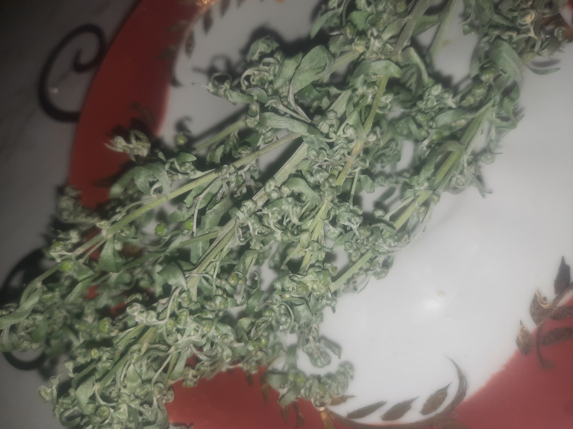 Herbs, tea, and homemade food laid out in Shklov