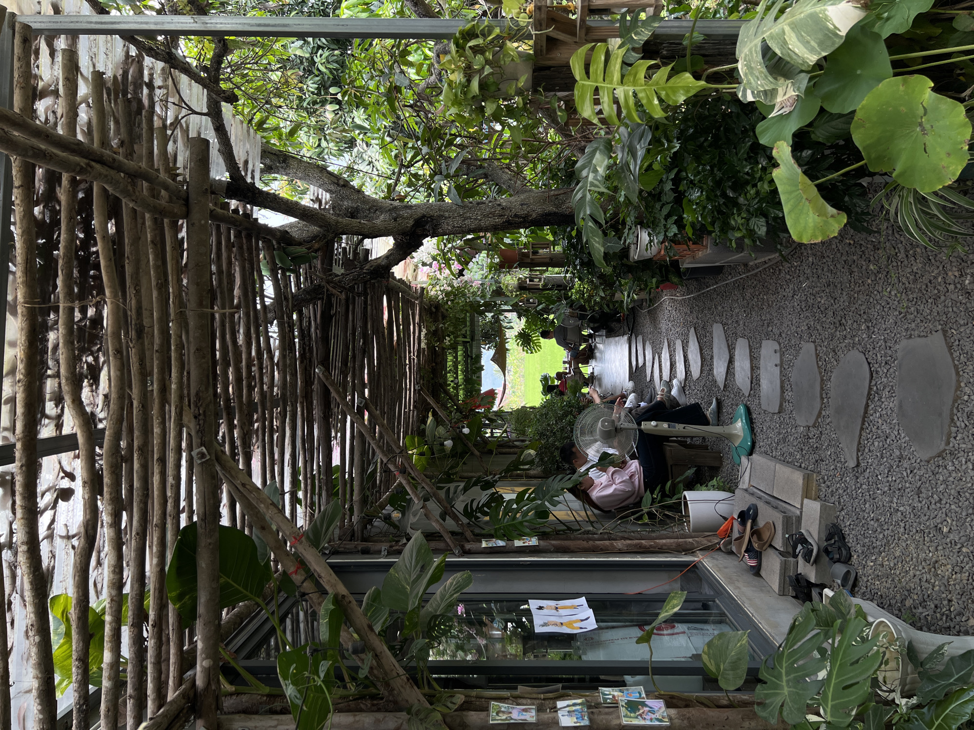 Rural café moments captured amid Vietnam's rice fields
