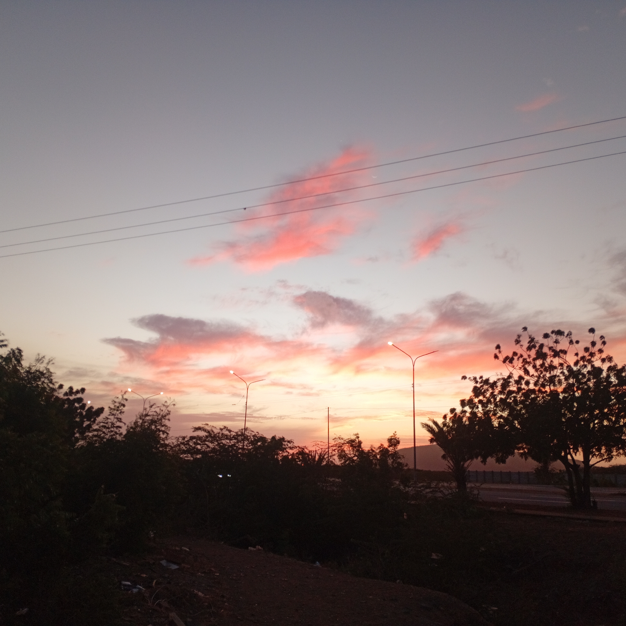 Urban sunset observed across neighborhood with cat sighting