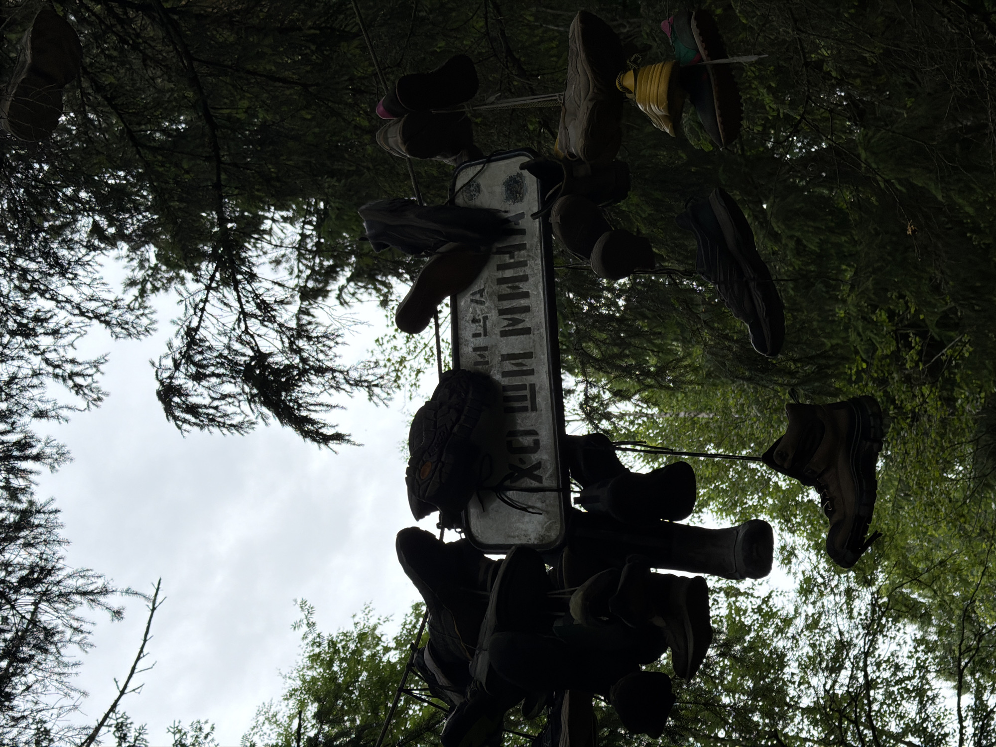 Shoes hanging from trees around Russian sign in forest