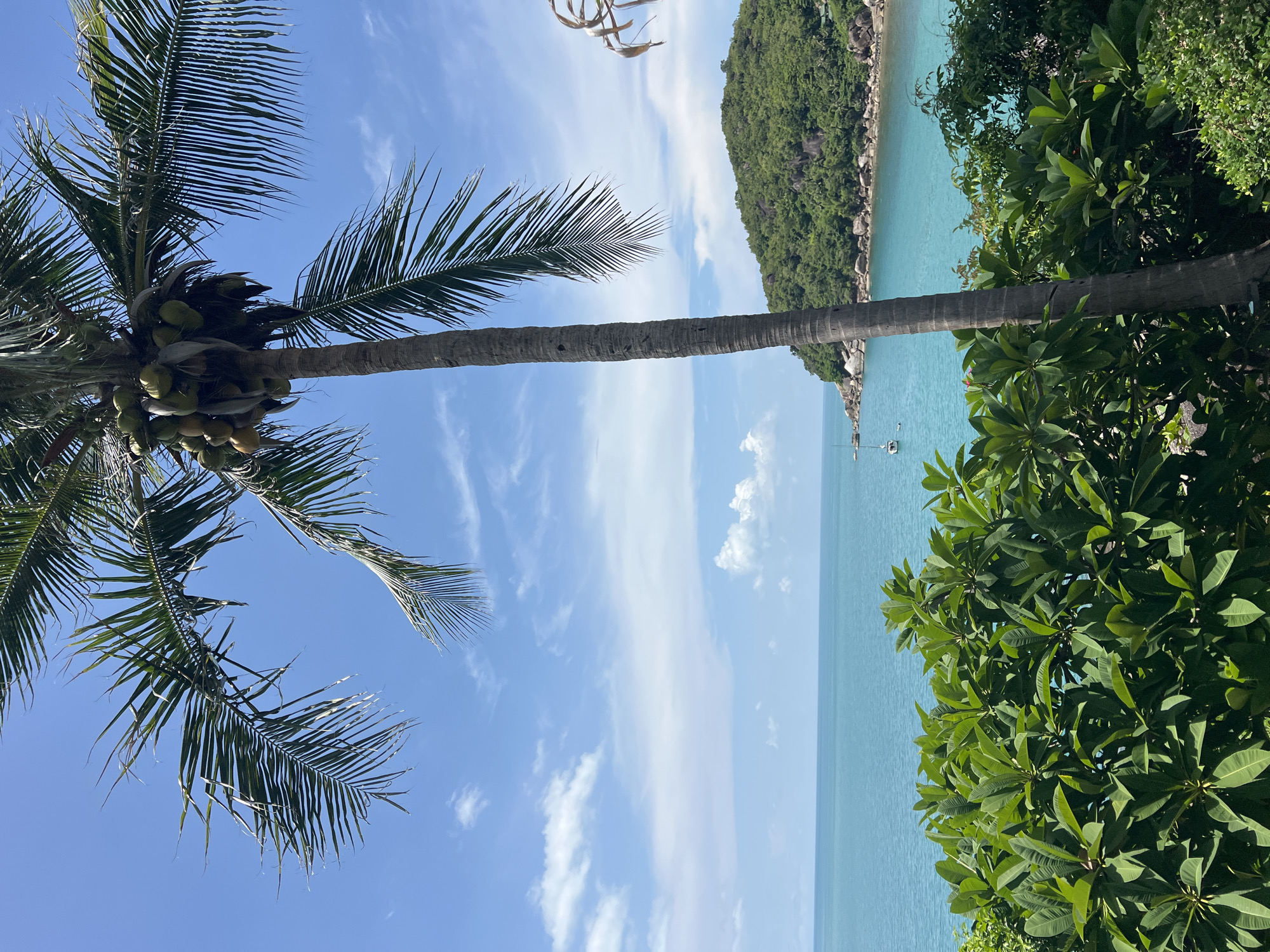 Early morning tropical coastal views in Baan Chaweng Noi